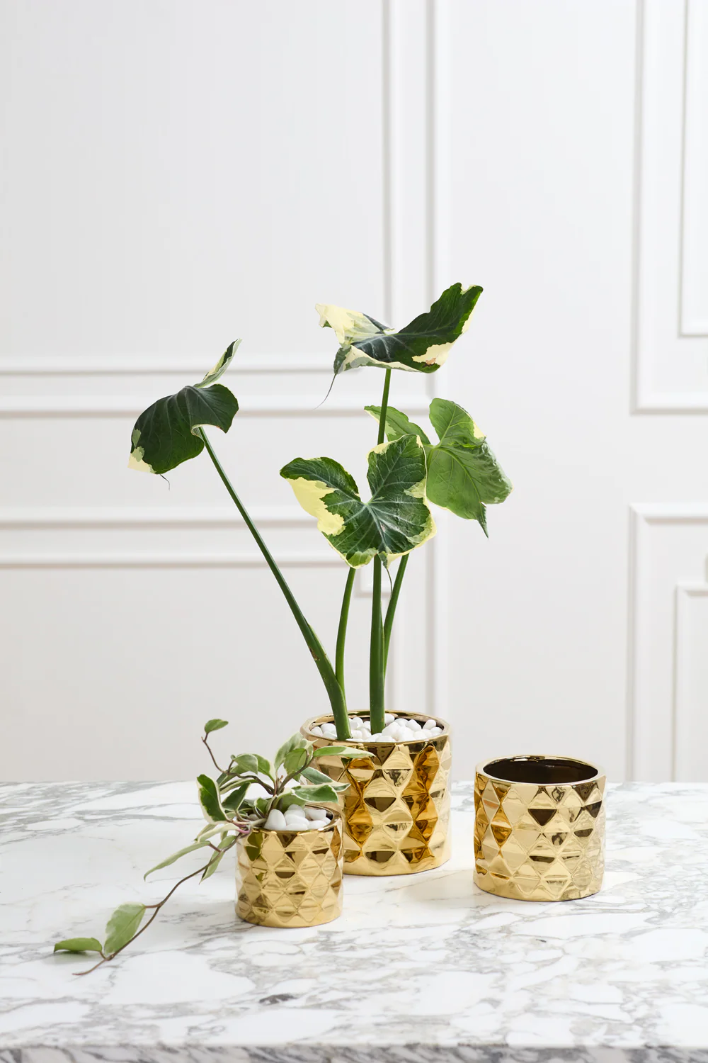 Architect Collection Set of 8 By Accent Decor - Image 3