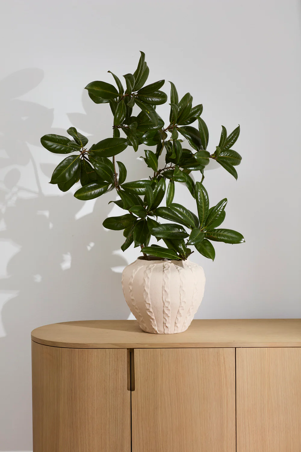 Argos Vase By Accent Decor - Image 7