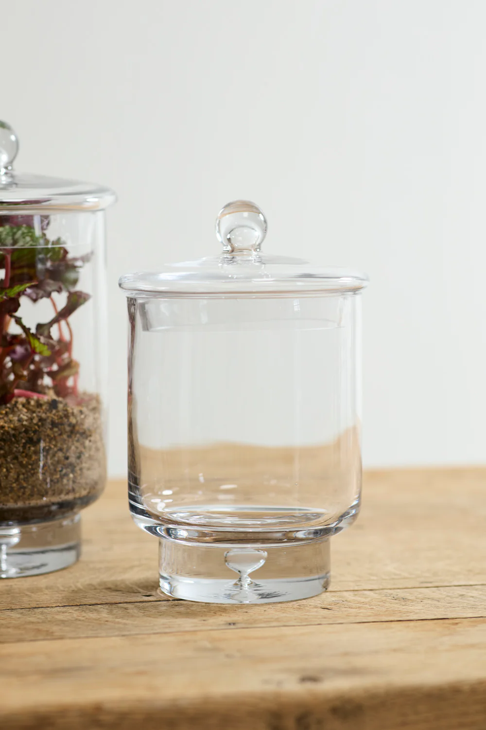 Asteridge Terrarium Set of 2 By Accent Decor - Image 6