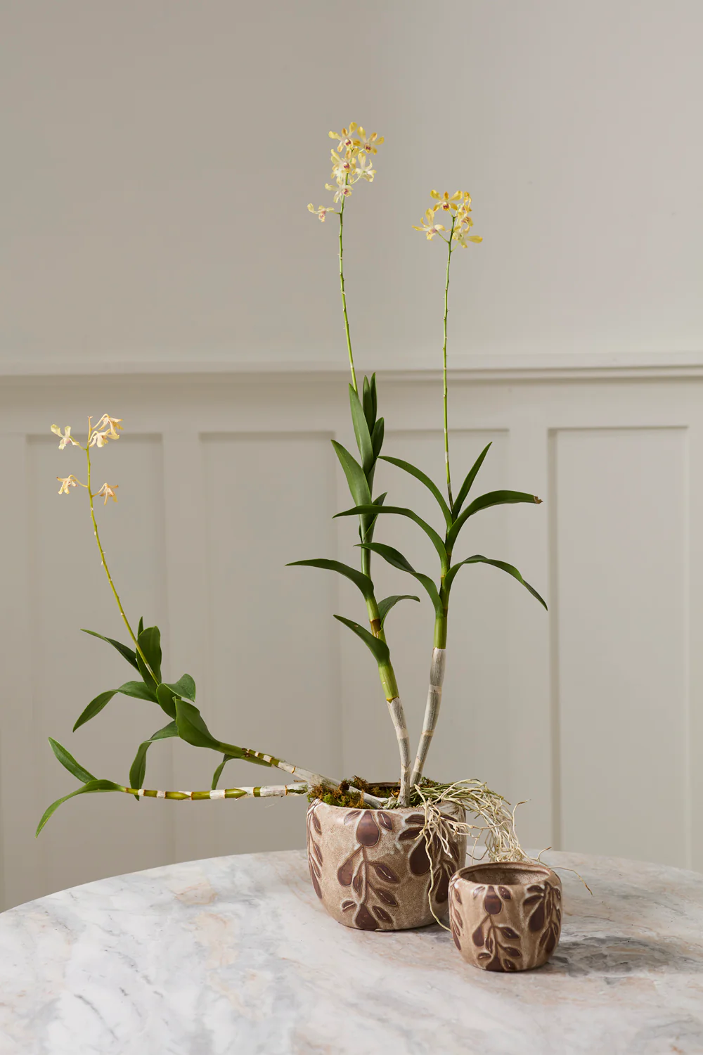 Autumn Pear Pot Set of 4 By Accent Decor