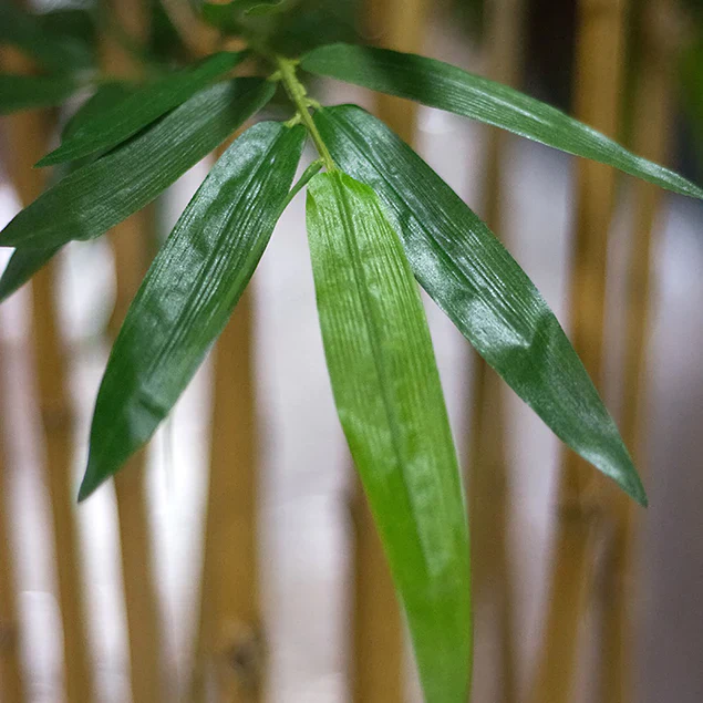 Bamboo Tree in Kawa Planter, Granite White By Gold Leaf Design Group - Image 4