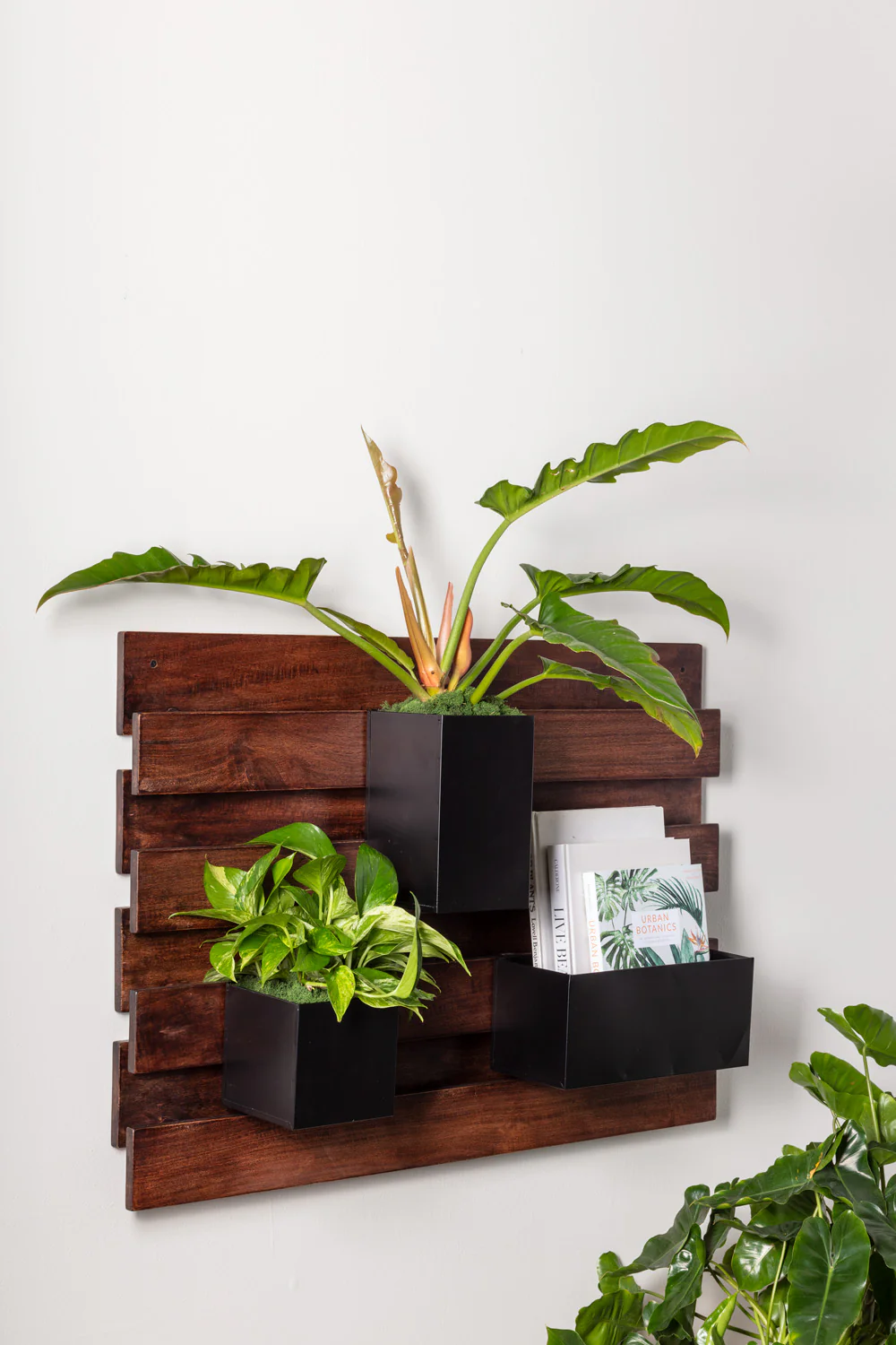 Barisan Wall Planter By Accent Decor - Image 2