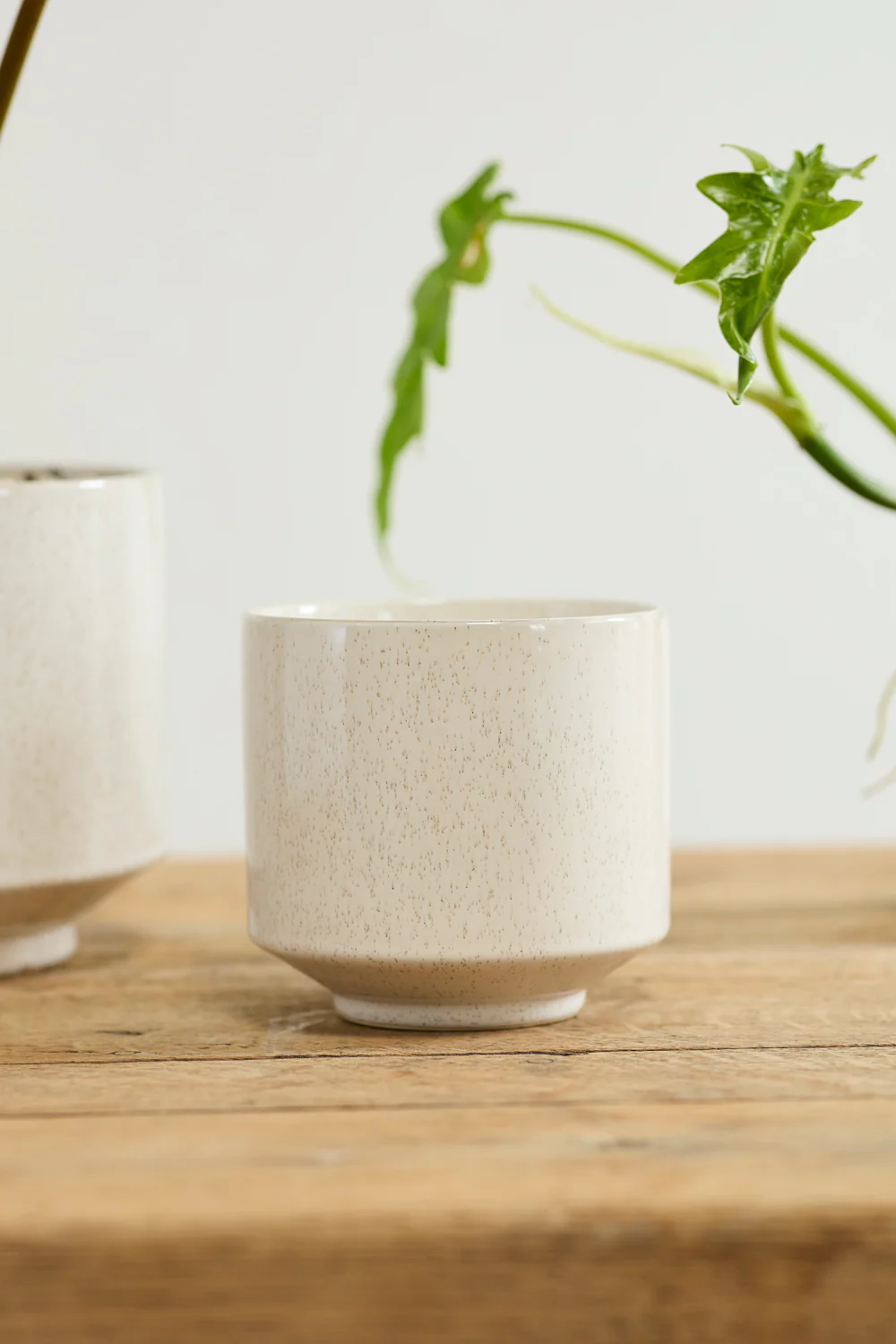 Bello Pot Set of 8 By Accent Decor - Image 5
