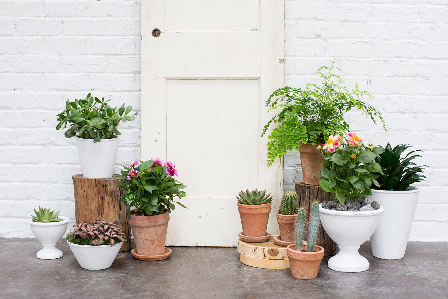 Benoit Compote Set of 4 By Accent Decor - Image 12