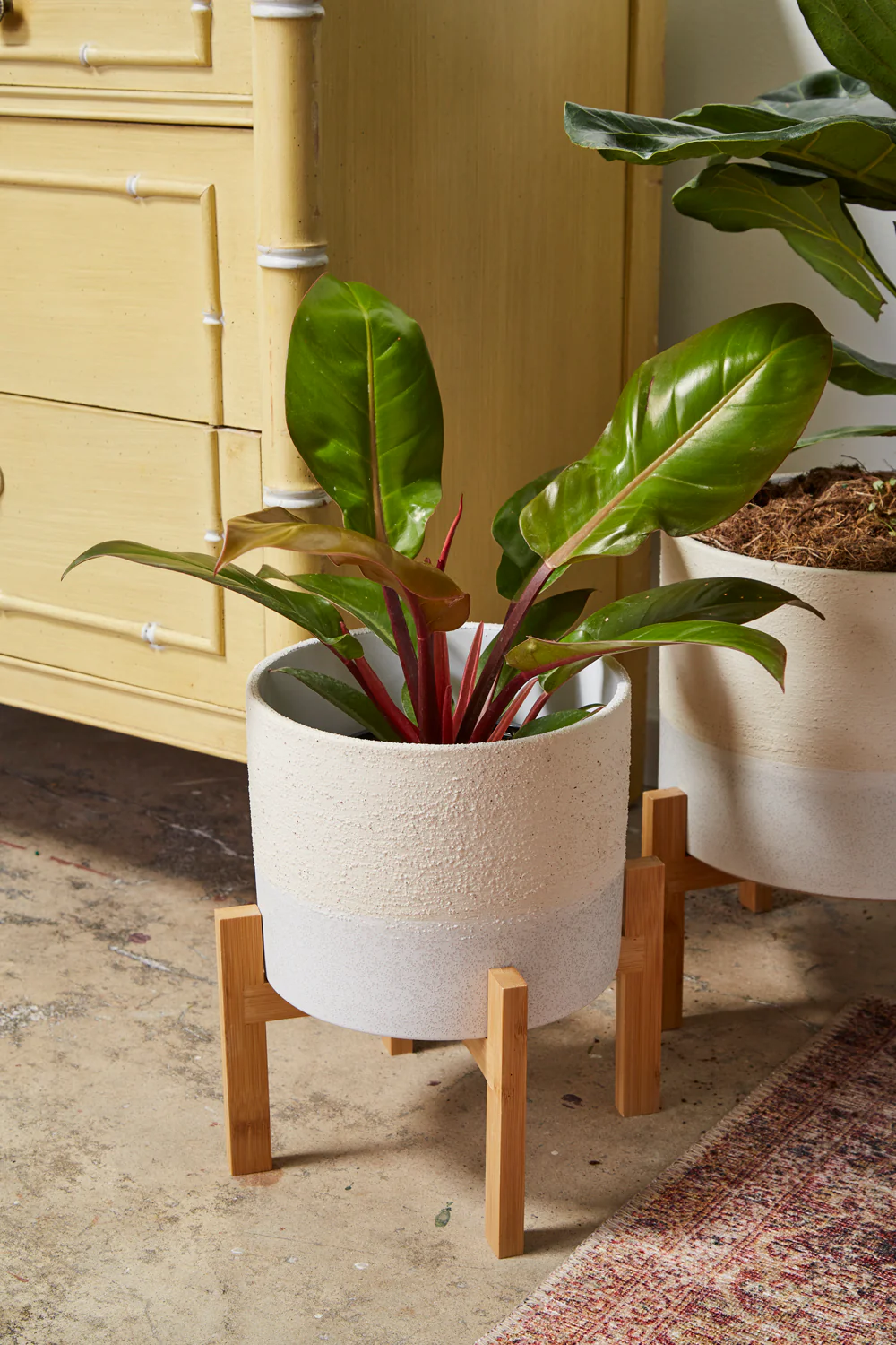 Calvia Pot with Stand Set of 2 By Accent Decor - Image 5
