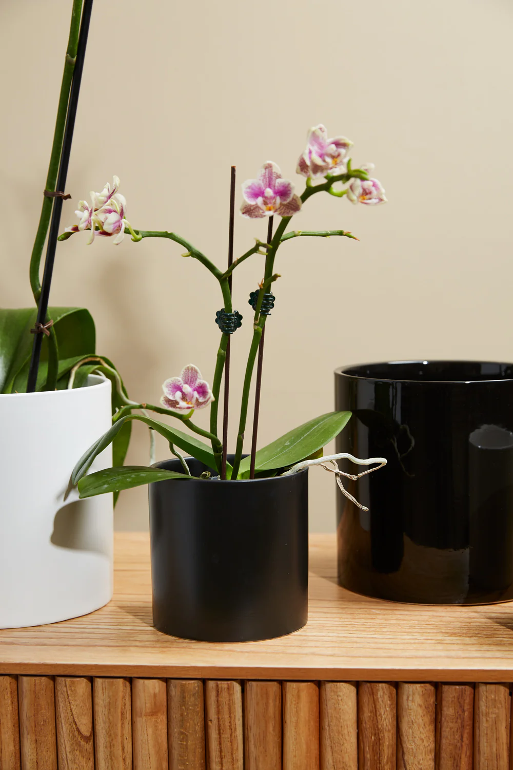 Cercle Pot Set of 8 By Accent Decor - Image 16
