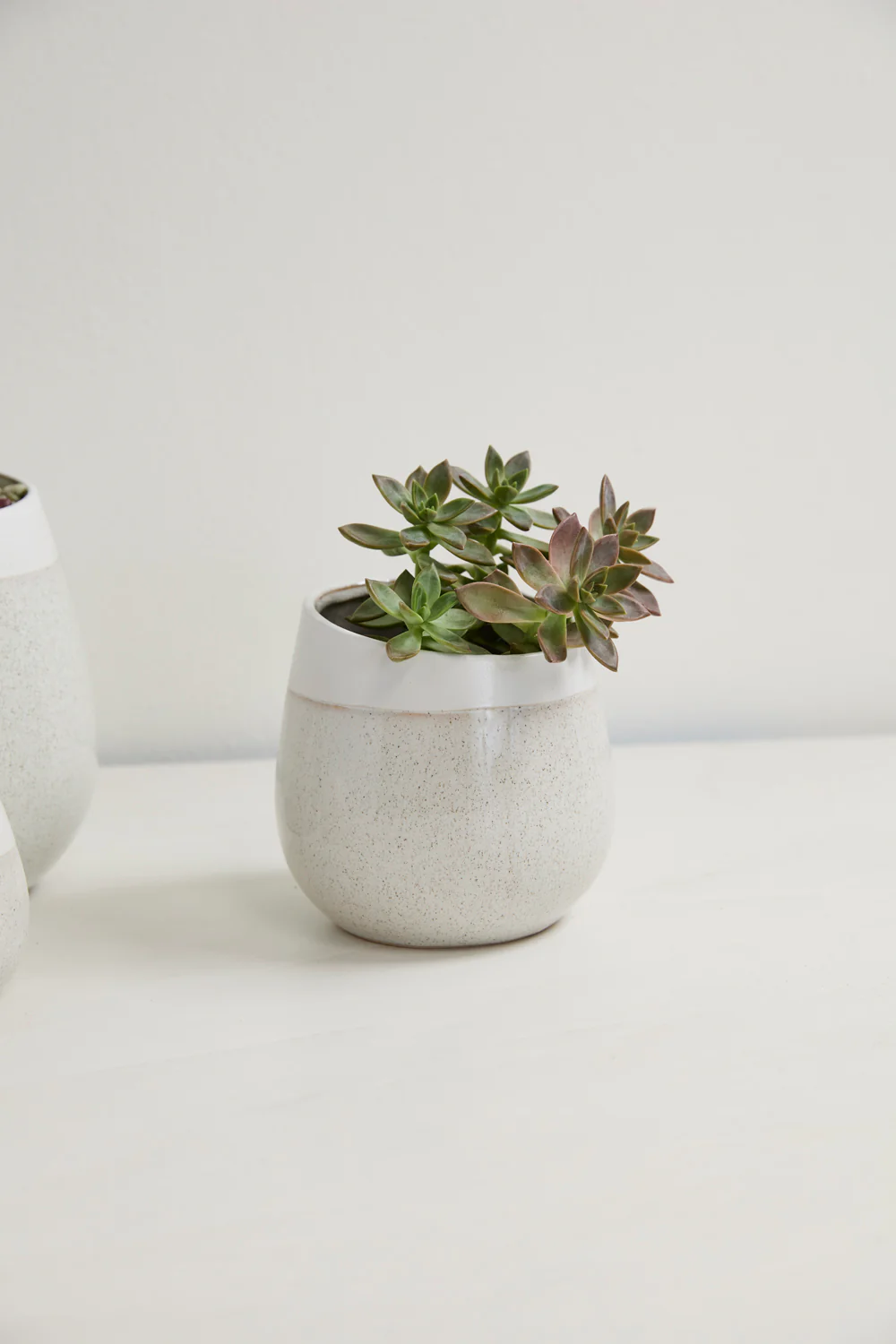 Choice Pot Set of 8 By Accent Decor - Image 11