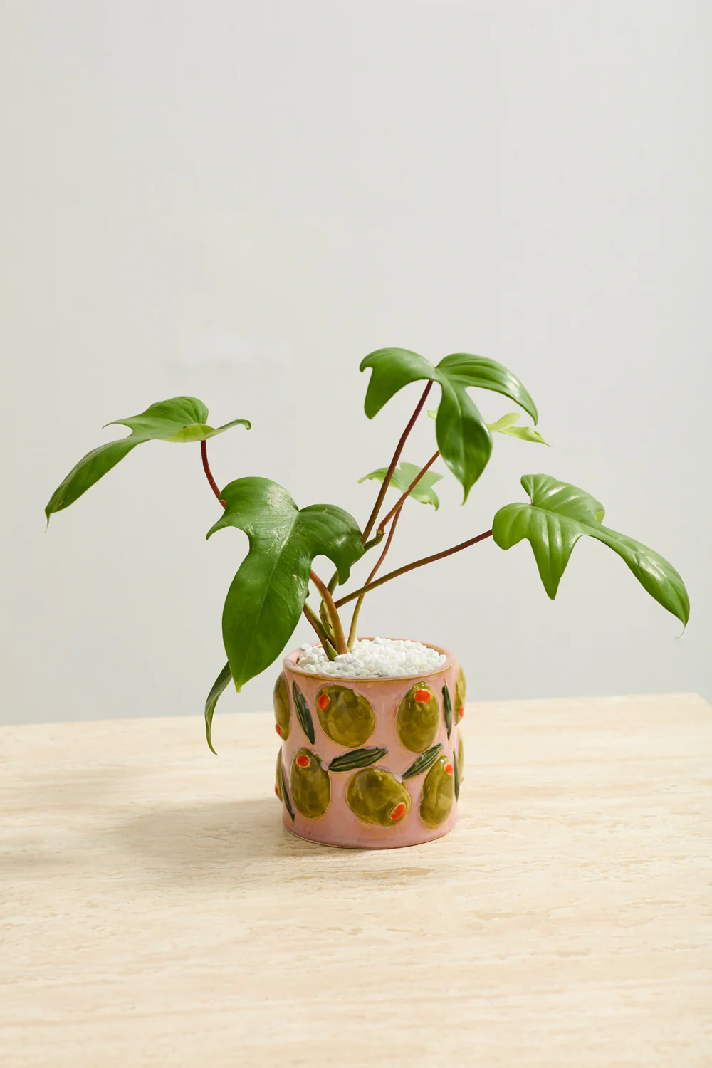 Cucina Pot Set of 4 By Accent Decor - Image 5