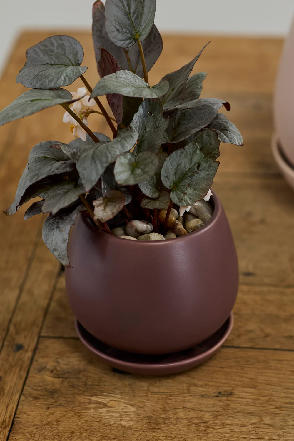 Dalton Pot Set of 4 By Accent Decor - Image 17