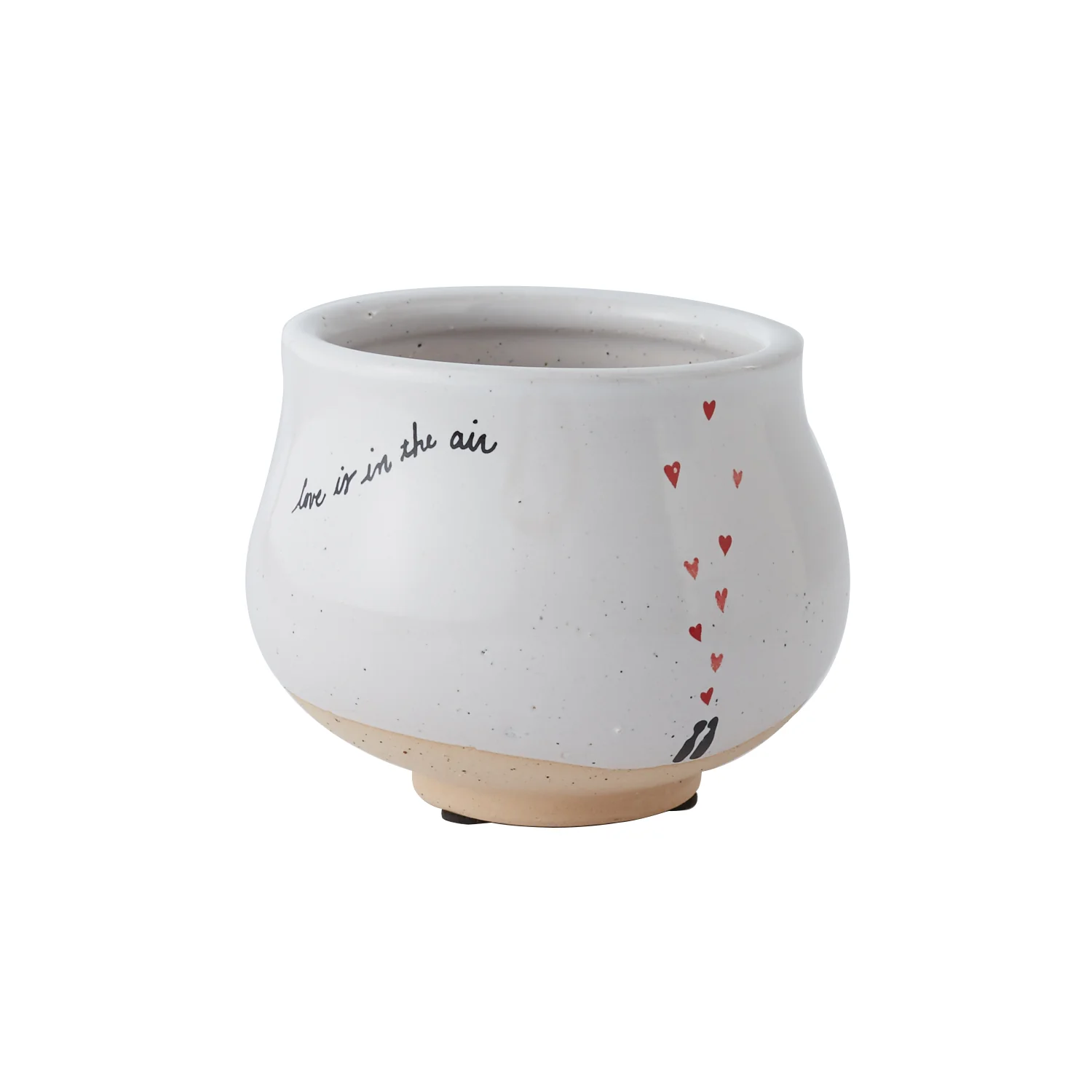 Declarations Collection Set of 8 By Accent Decor - Image 6