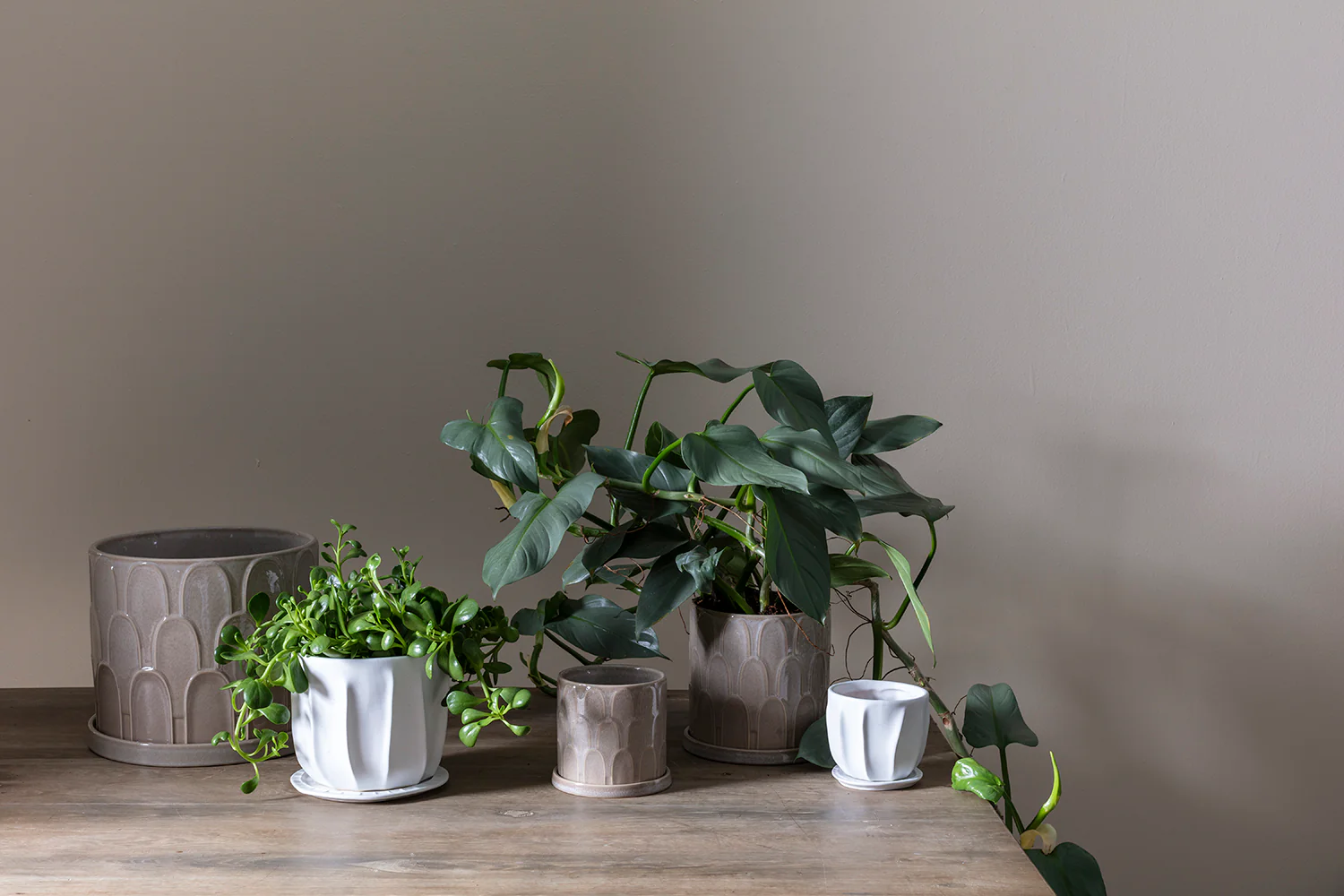 Draken Pot Set of 4 By Accent Decor - Image 3
