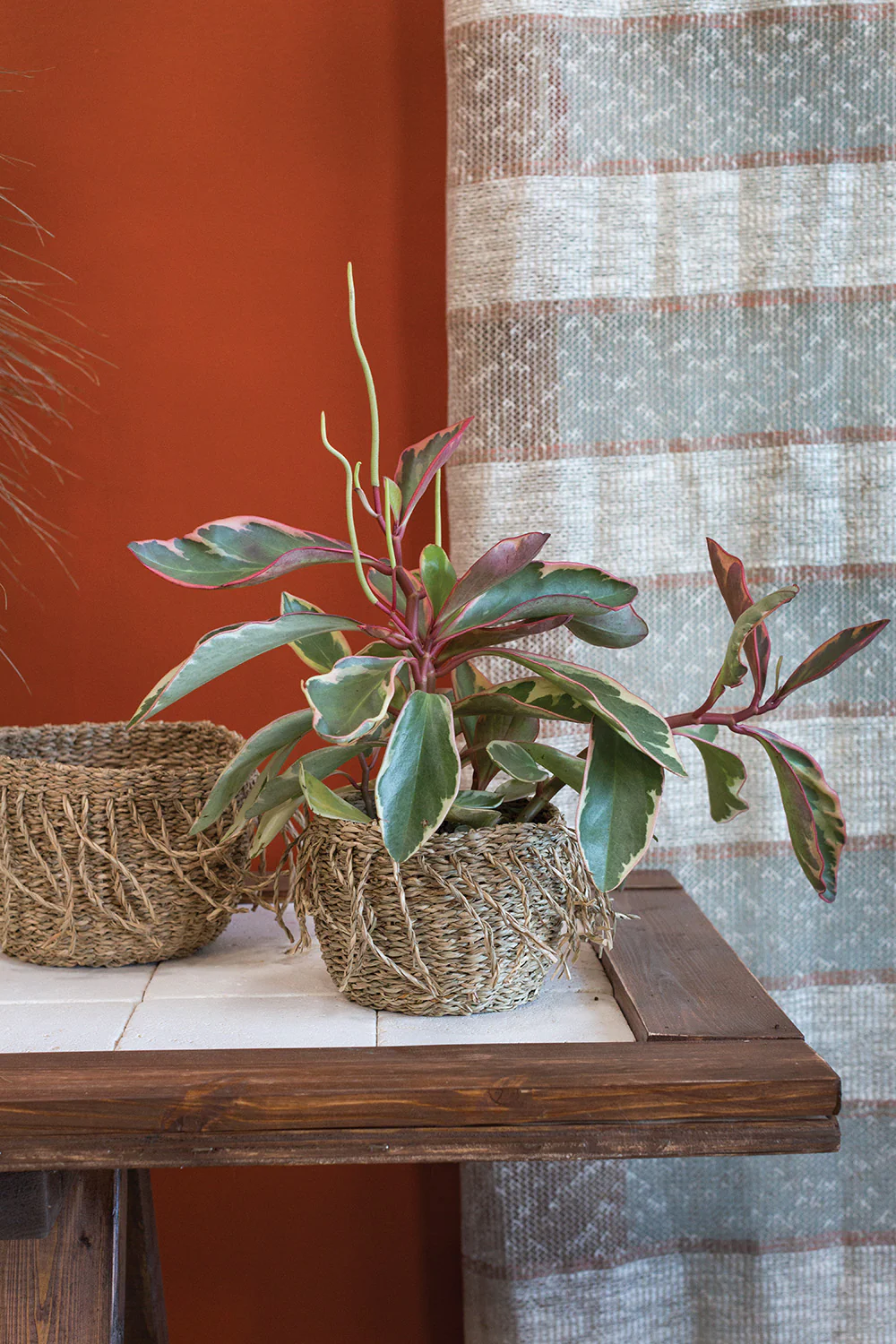 Ebba Basket Set of 4 By Accent Decor - Image 4