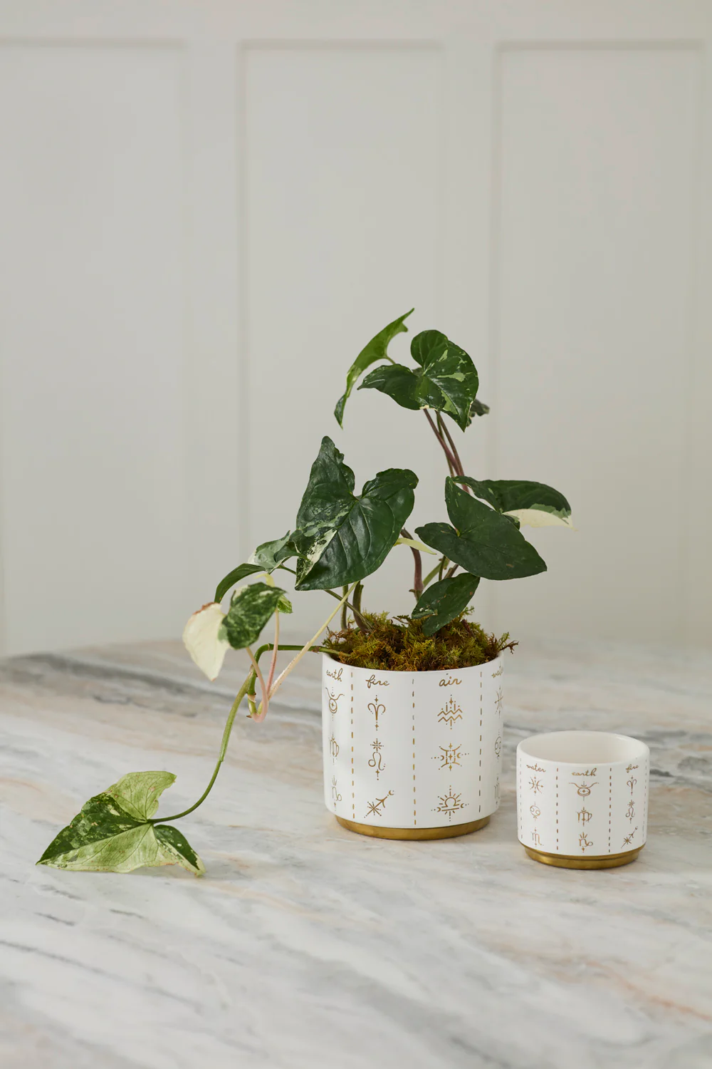 Elemental Pot Set of 8 By Accent Decor - Image 4