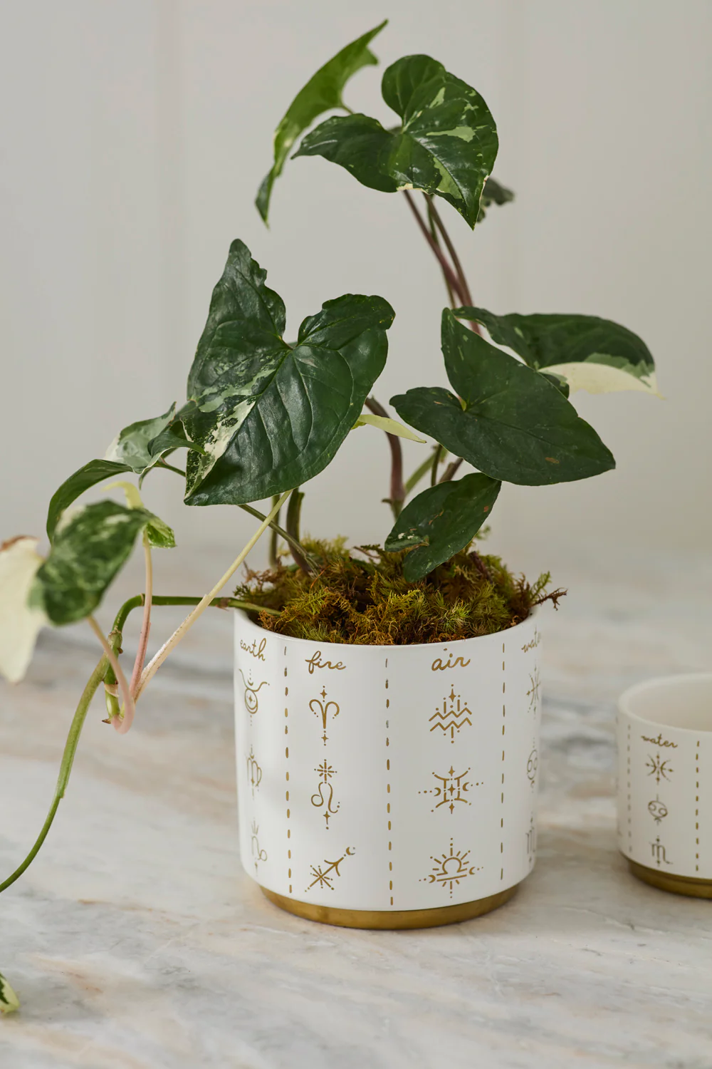 Elemental Pot Set of 8 By Accent Decor - Image 7