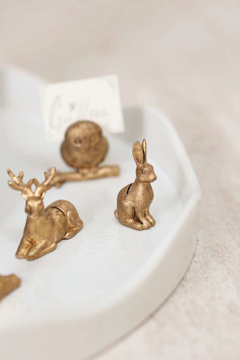 Enchanted Critter Name Card Holder Set of 8 By Accent Decor - Image 15