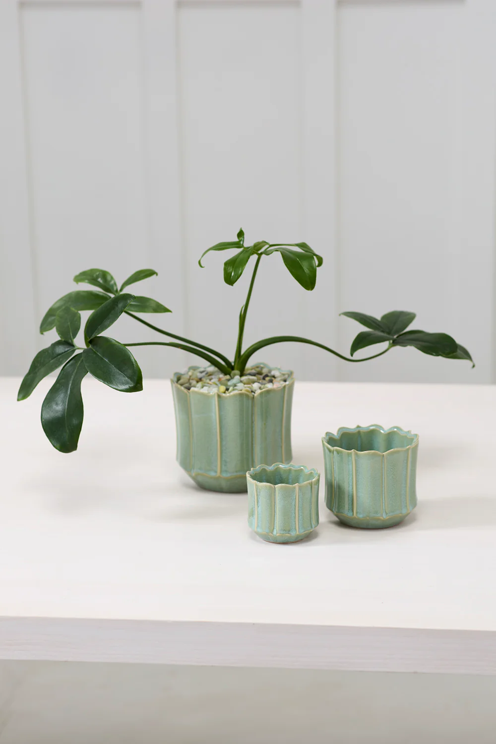 Everleaf Pot Set of 8 By Accent Decor - Image 3