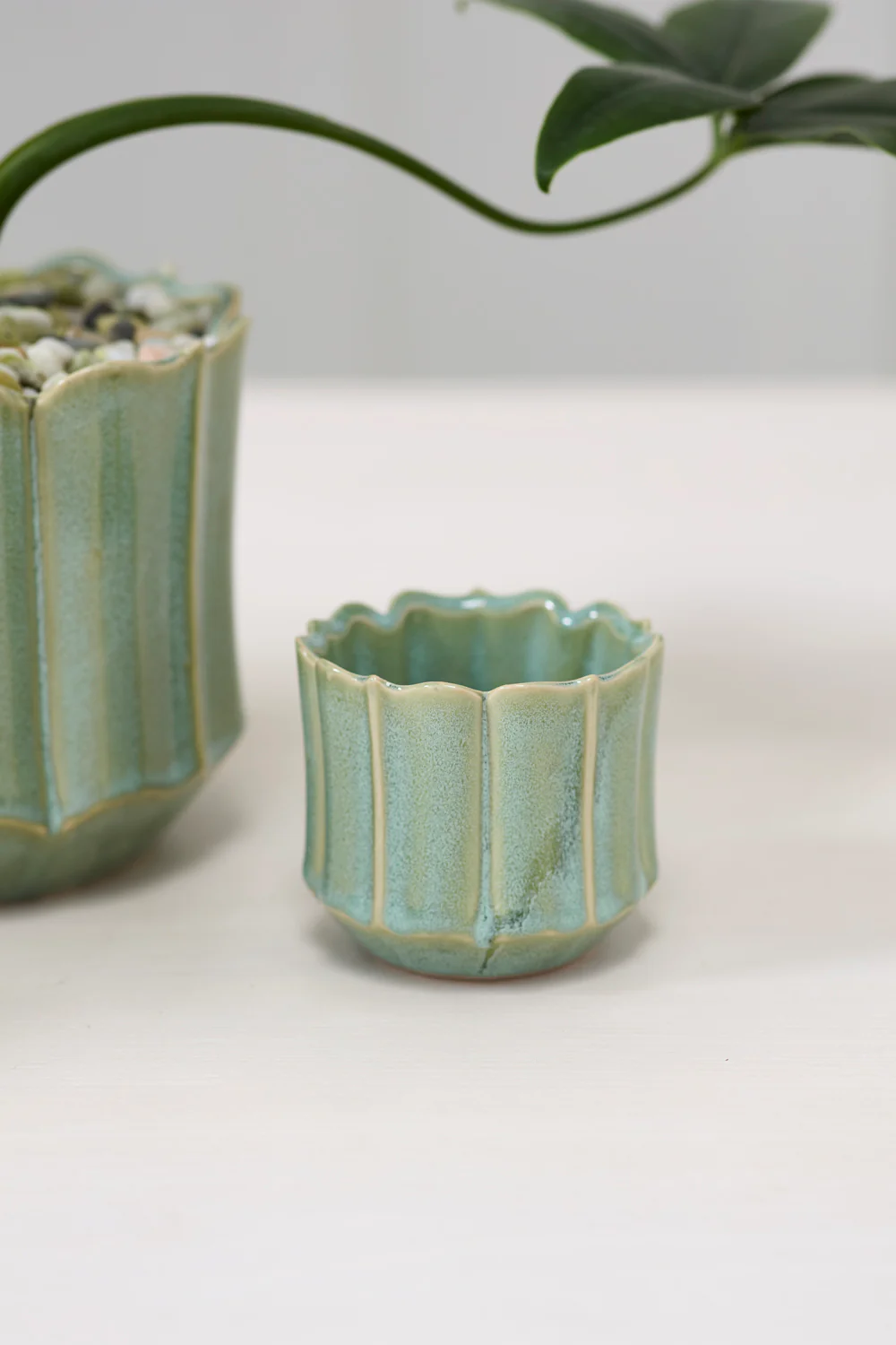 Everleaf Pot Set of 8 By Accent Decor - Image 4