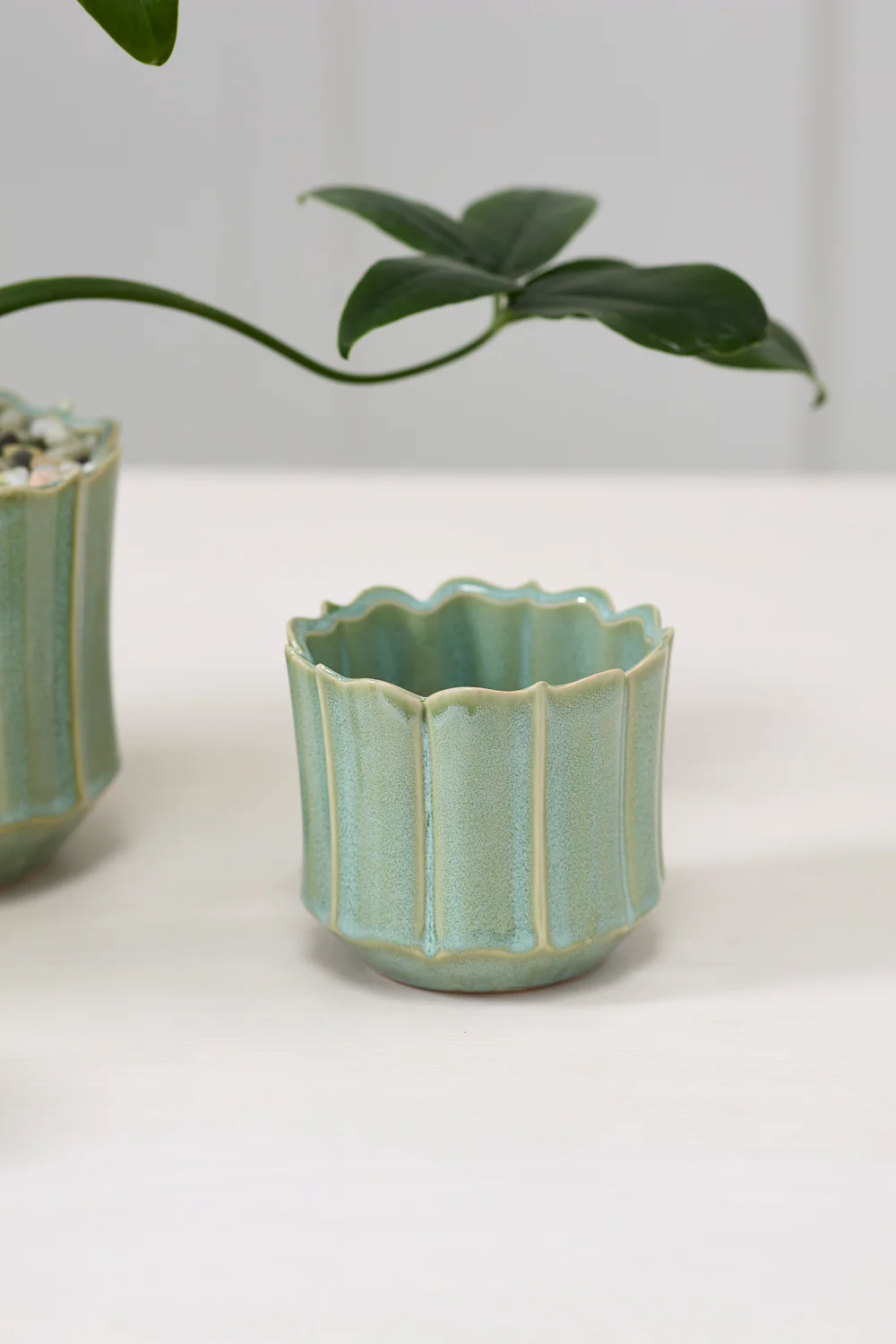 Everleaf Pot Set of 8 By Accent Decor - Image 6