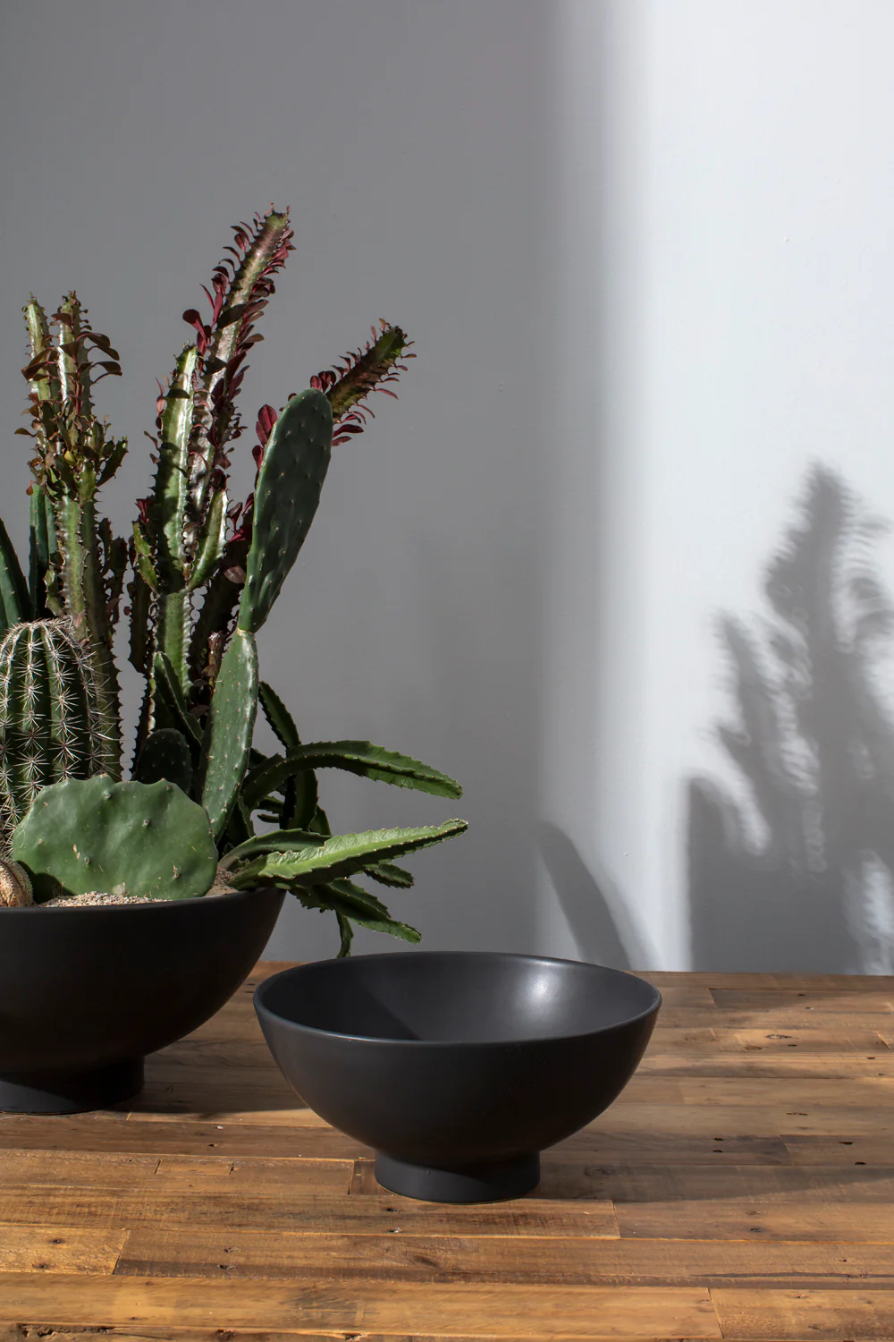 Fortis Bowl By Accent Decor