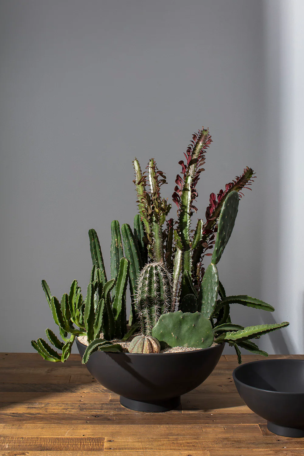 Fortis Bowl By Accent Decor - Image 10