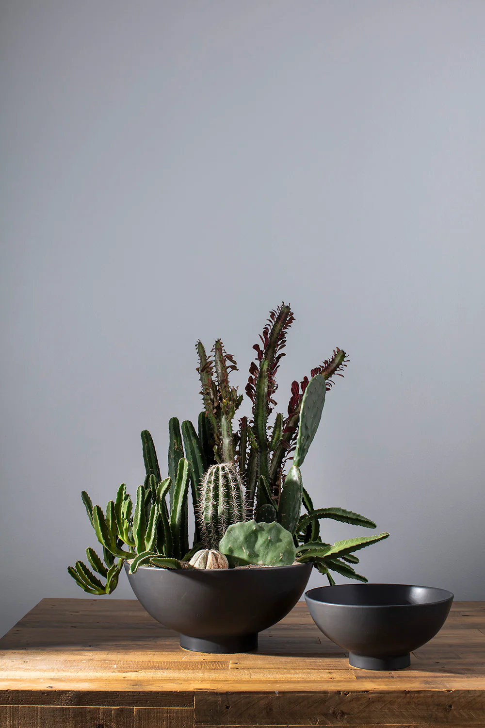 Fortis Bowl By Accent Decor - Image 3