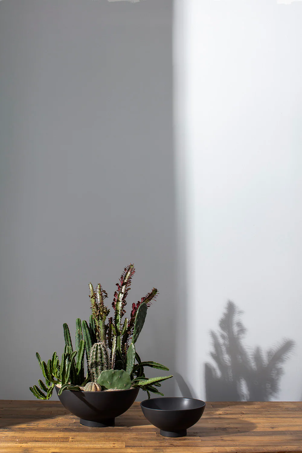 Fortis Bowl By Accent Decor - Image 4