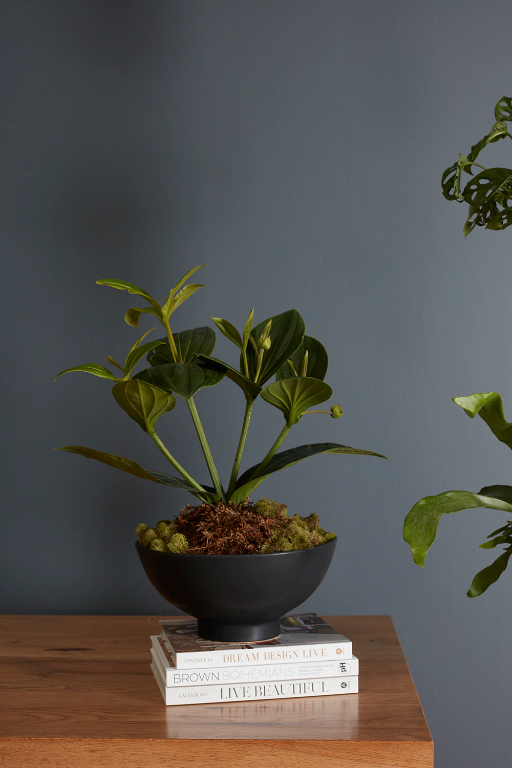 Fortis Bowl By Accent Decor - Image 6