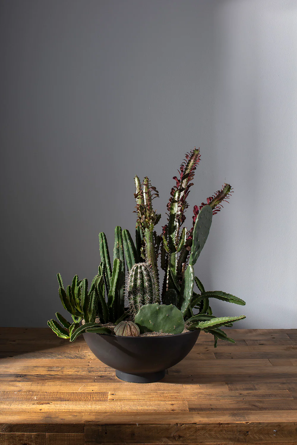 Fortis Bowl By Accent Decor - Image 9