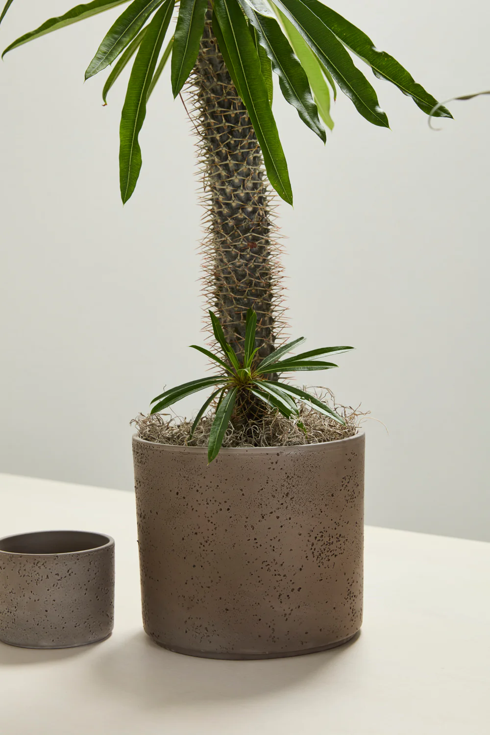 Fulton Pot Set of 8 By Accent Decor - Image 15