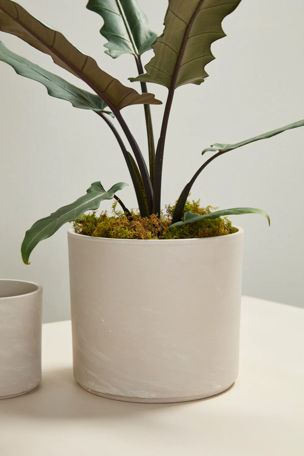 Fulton Pot Set of 8 By Accent Decor - Image 27