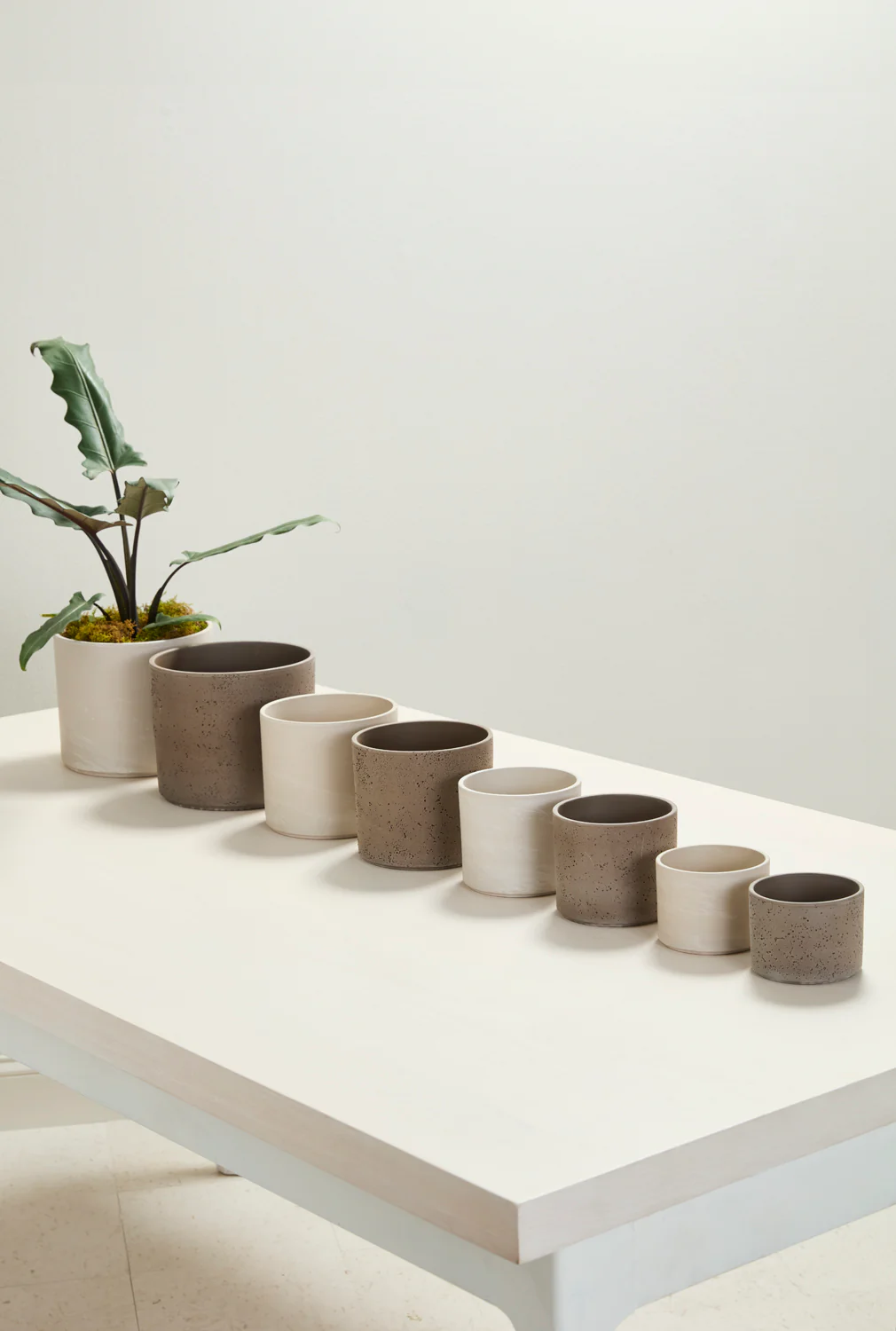 Fulton Pot Set of 8 By Accent Decor - Image 3