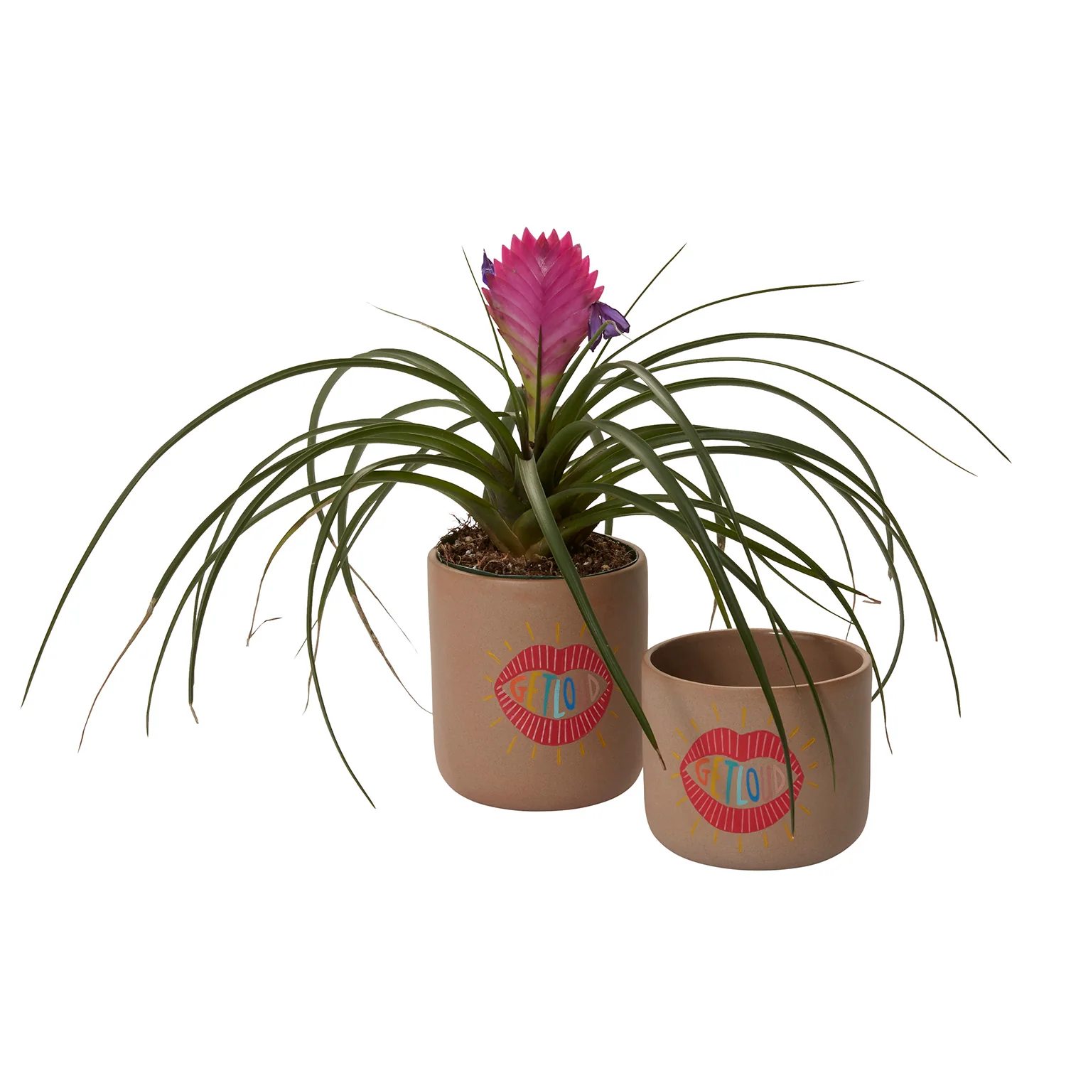 Get Loud Pot Set of 8 By Accent Decor - Image 4