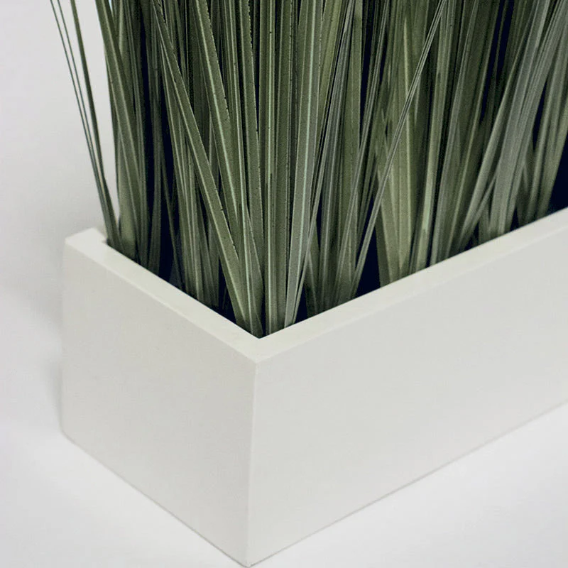 Grass: Cortada Grass in White Table Planter (additional freight required) By Gold Leaf - Image 2