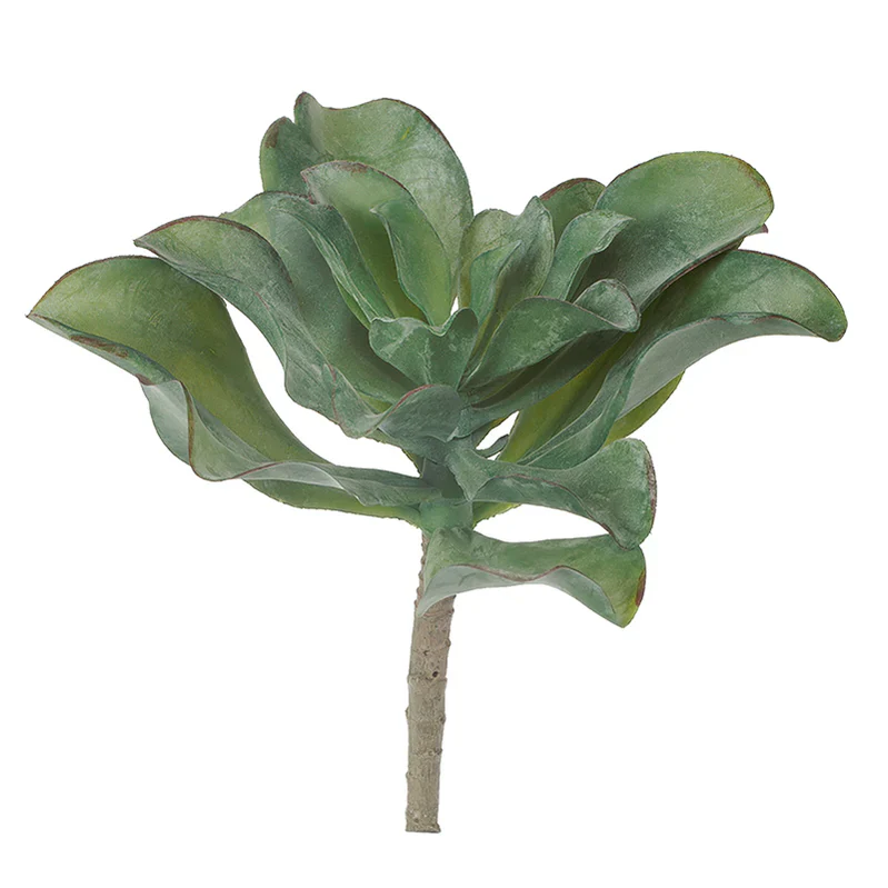 Green Wall, Mini Pulidonis & Kalanchoe 2 By Gold Leaf - Image 6