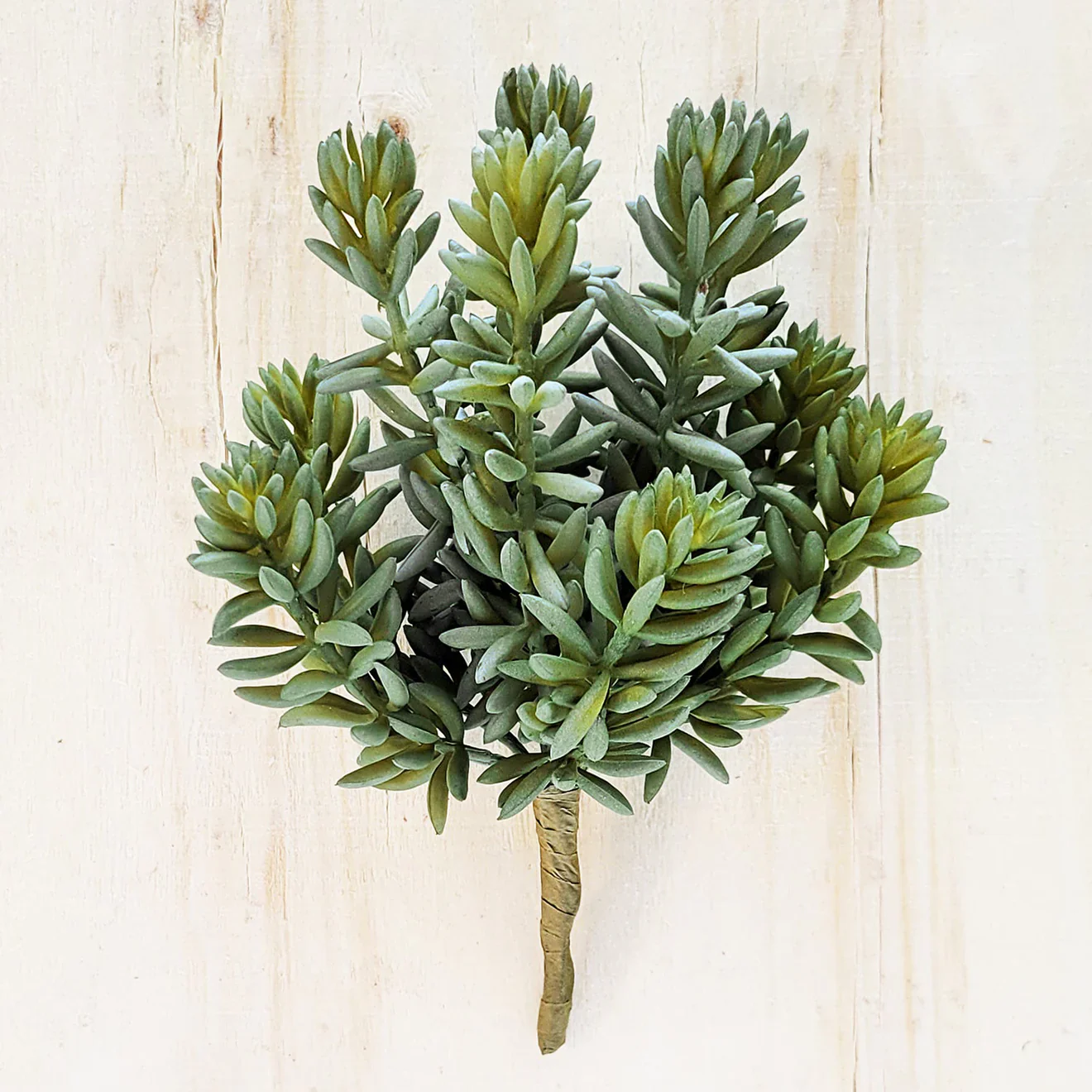 Green Wall, Mini Pulidonis & Kalanchoe 2 By Gold Leaf - Image 9