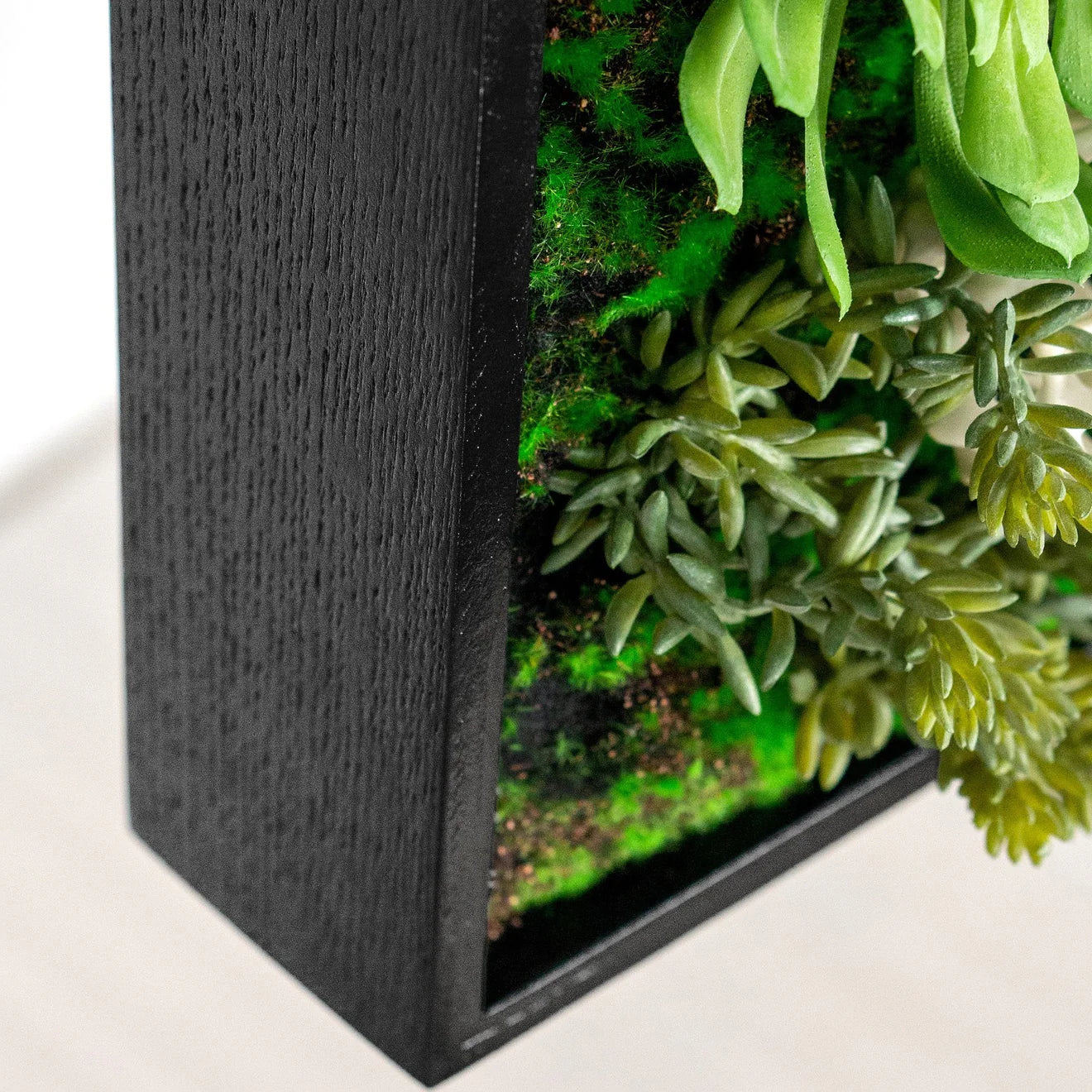 Green Wall, Mini Succulent Mix 3 By Gold Leaf - Image 2