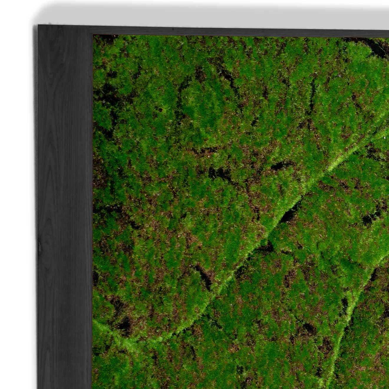 Green Wall, ‘New Wave A’, Satin Black Hardwood By Gold Leaf - Image 6
