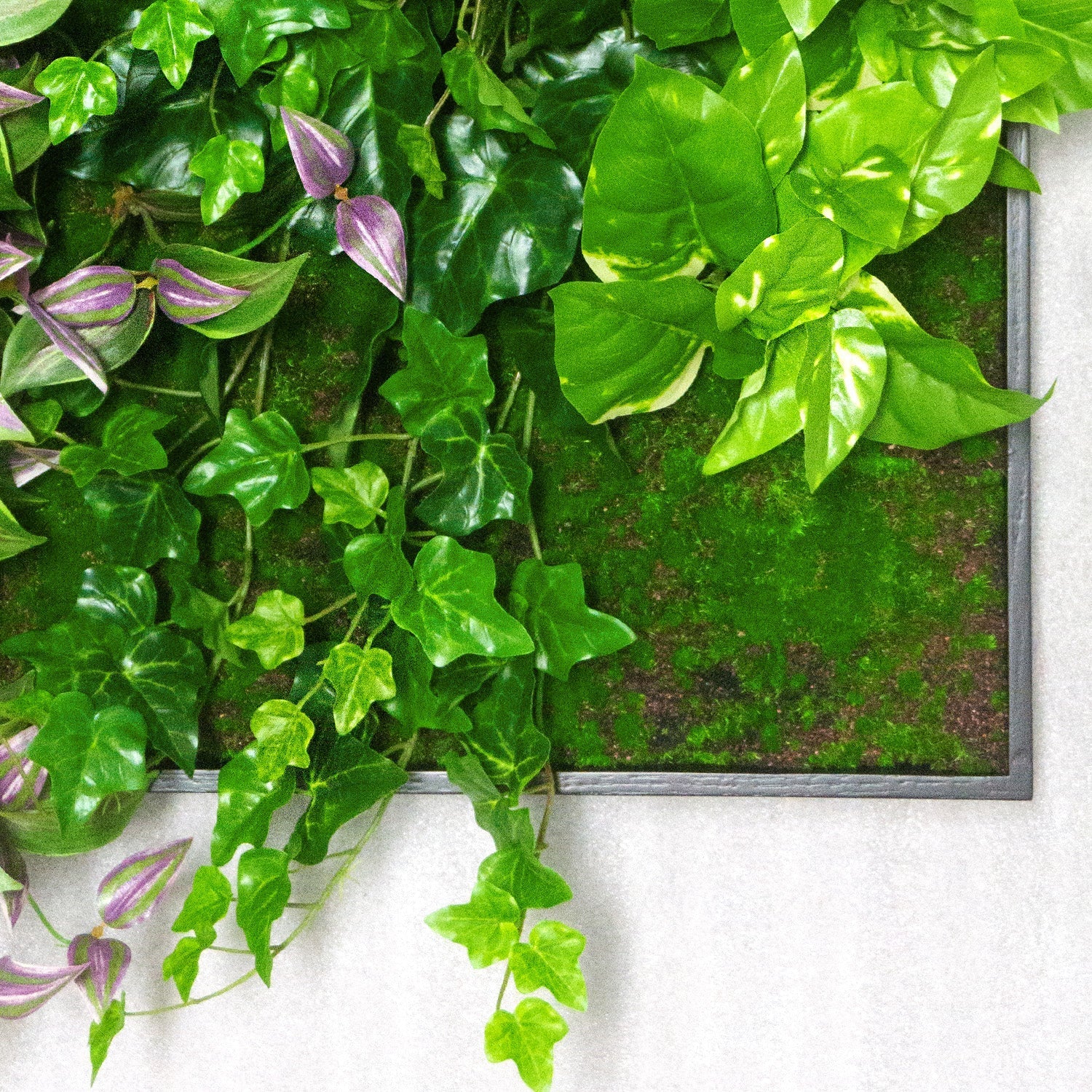 Green Wall, Trailing Mix #1 By Gold Leaf - Image 3