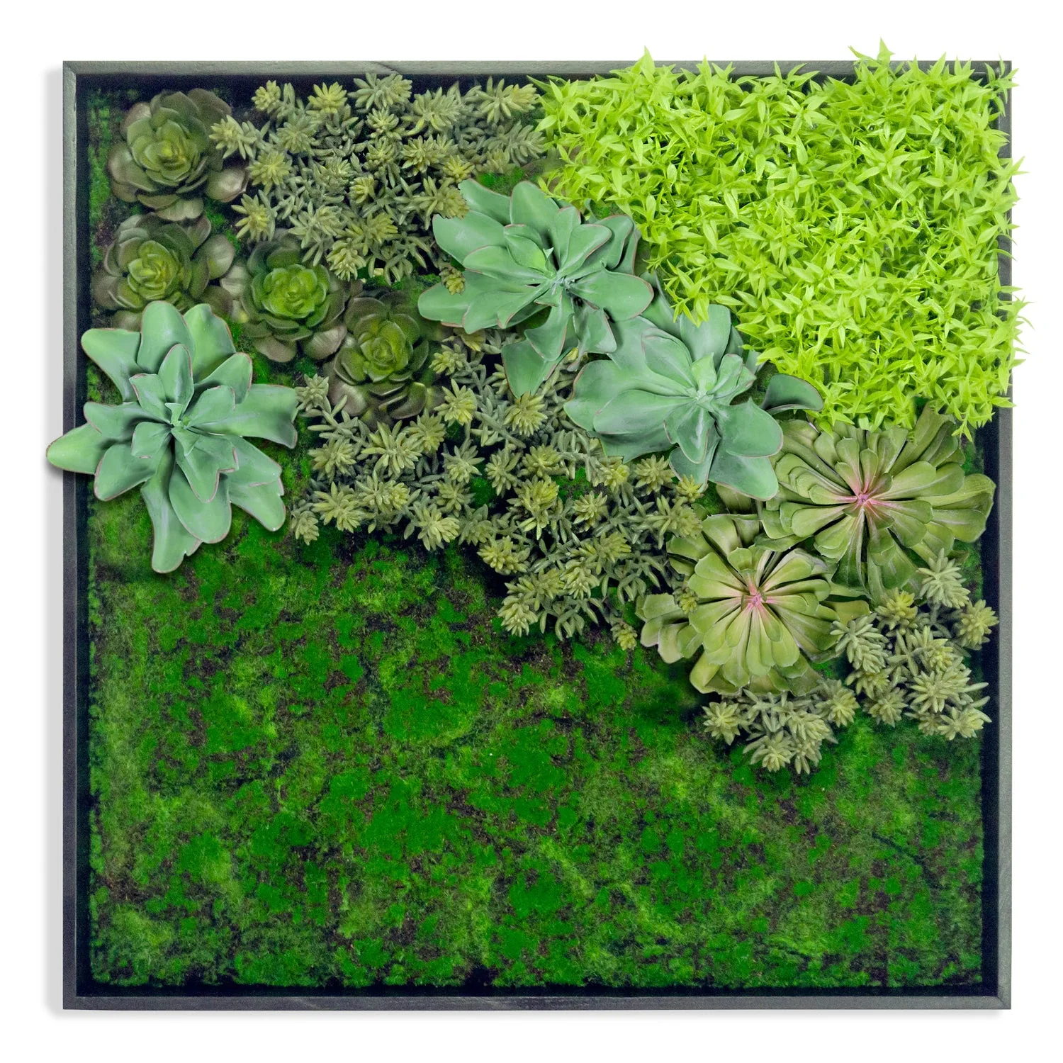 Green Wall, 'Wave Succulent 1' By Gold Leaf - Image 2