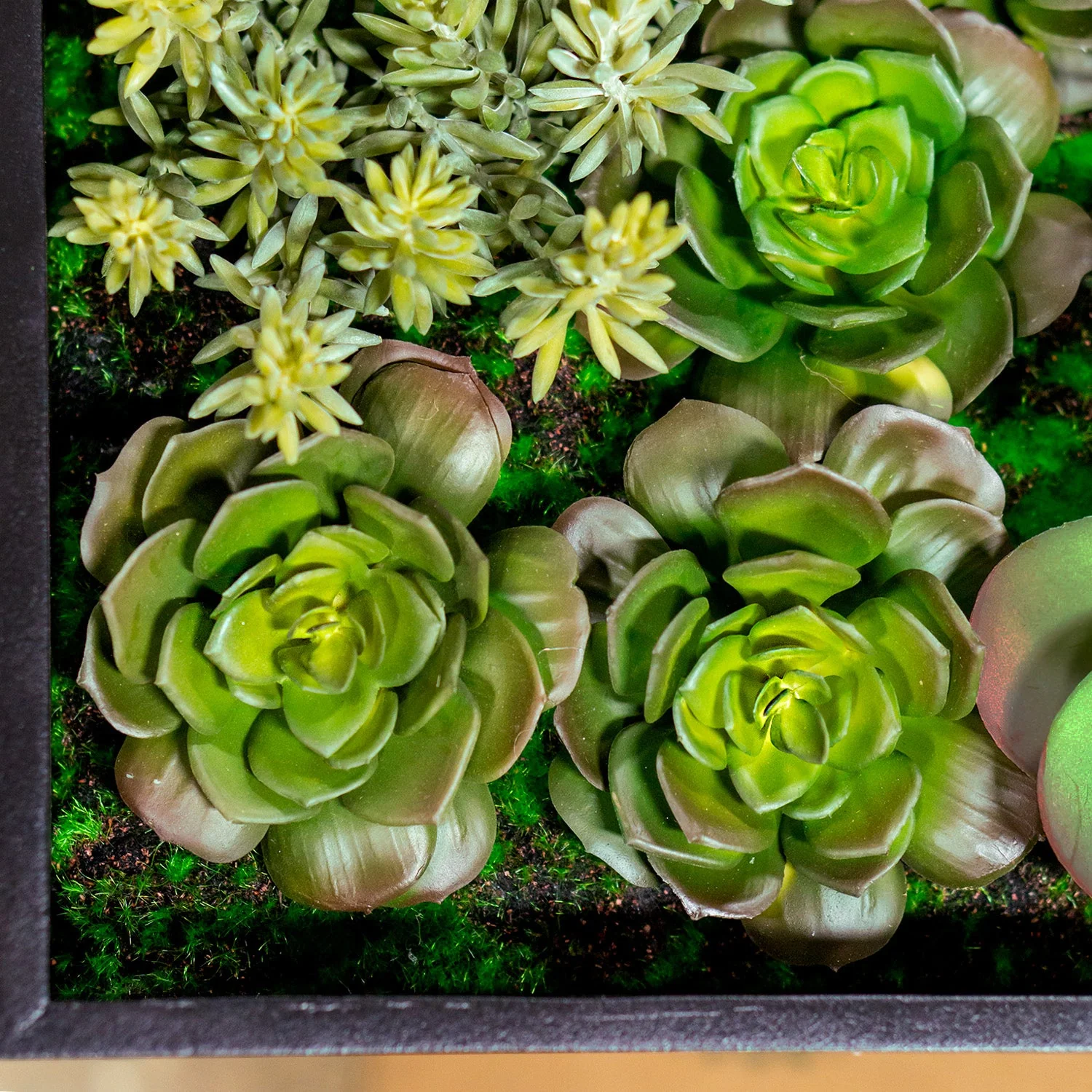 Green Wall, 'Wave Succulent 1' By Gold Leaf - Image 3
