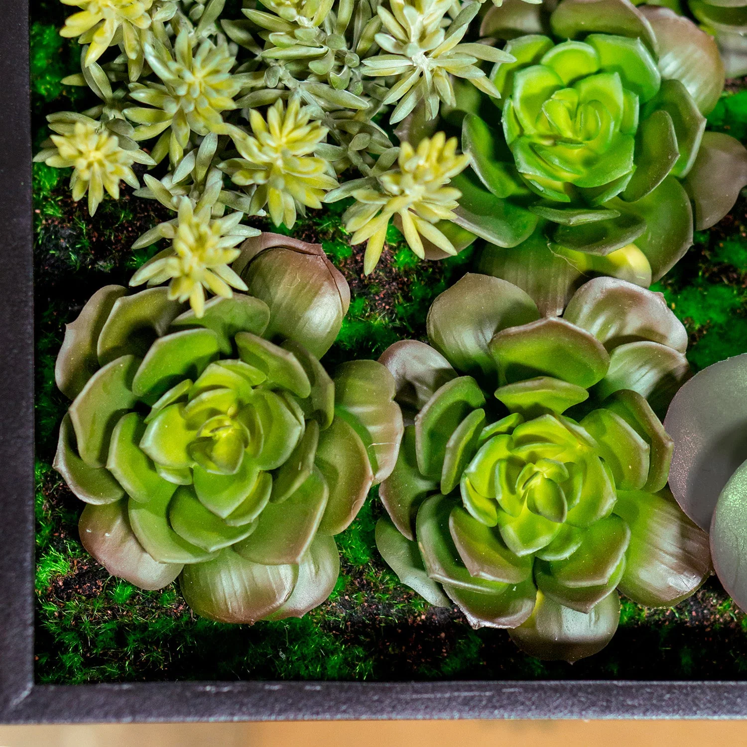 Green Wall, 'Wave Succulent 3' By Gold Leaf - Image 3
