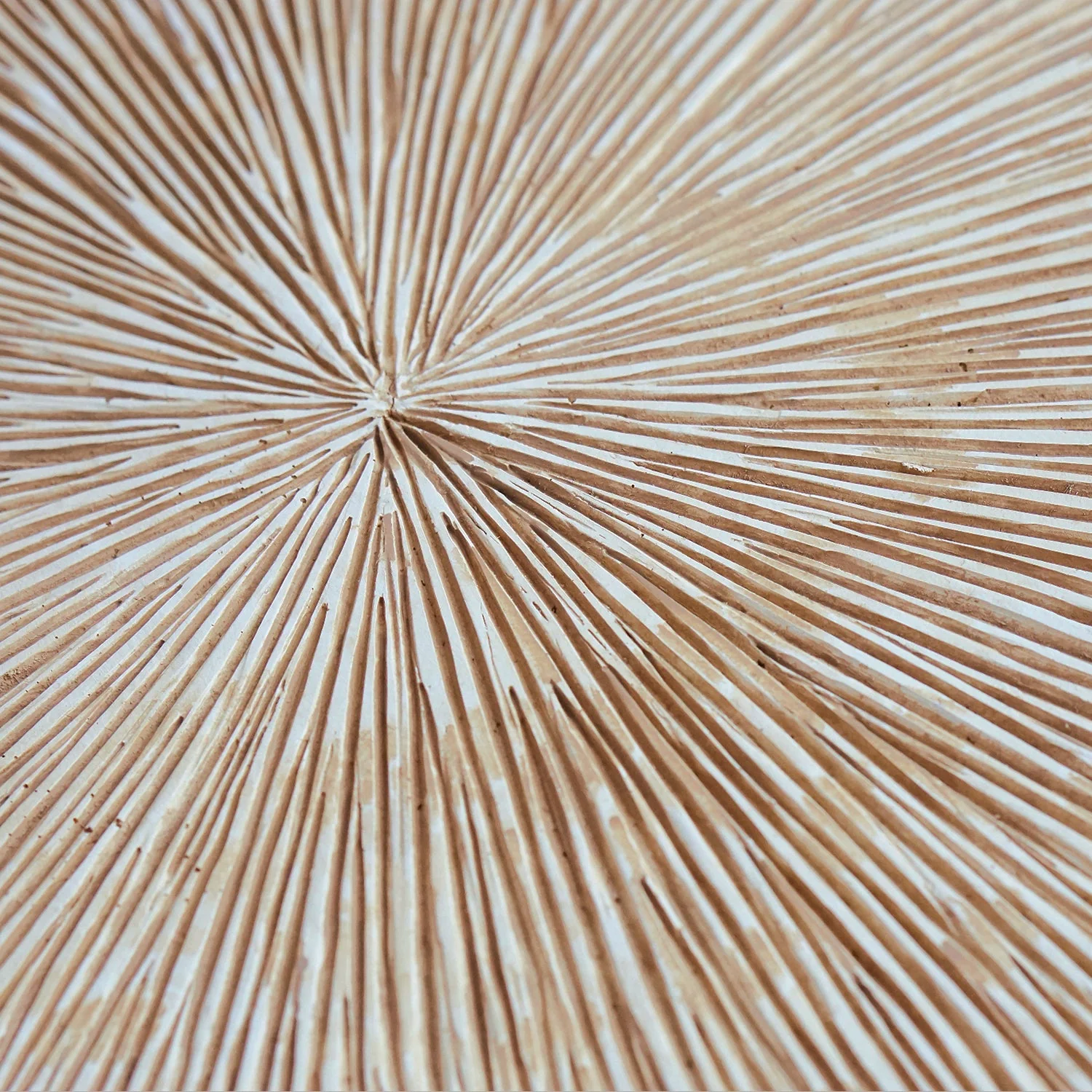 Groove 20.4"SQ, Brown Wash By Gold Leaf - Image 4