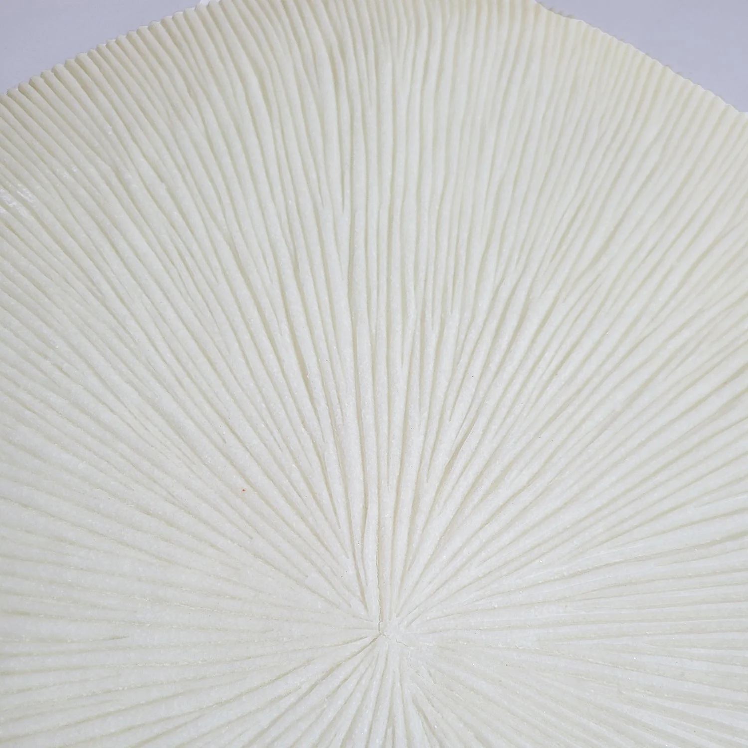 Groove 20.4"SQ, Cream By Gold Leaf - Image 7