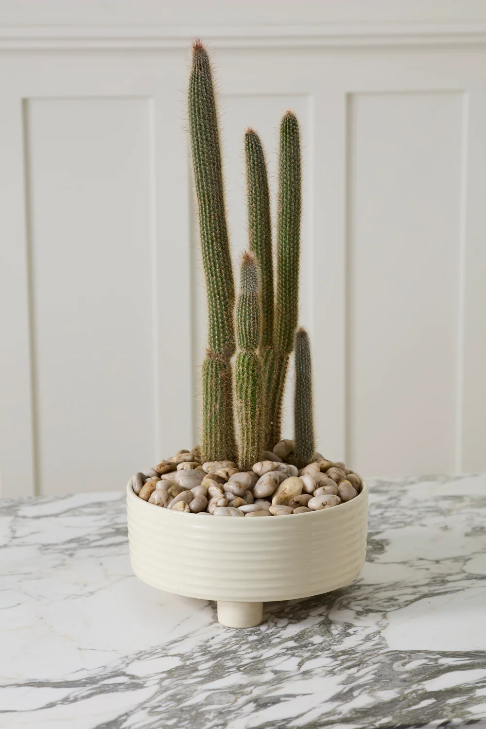 Hailey Footed Bowl By Accent Decor - Image 6