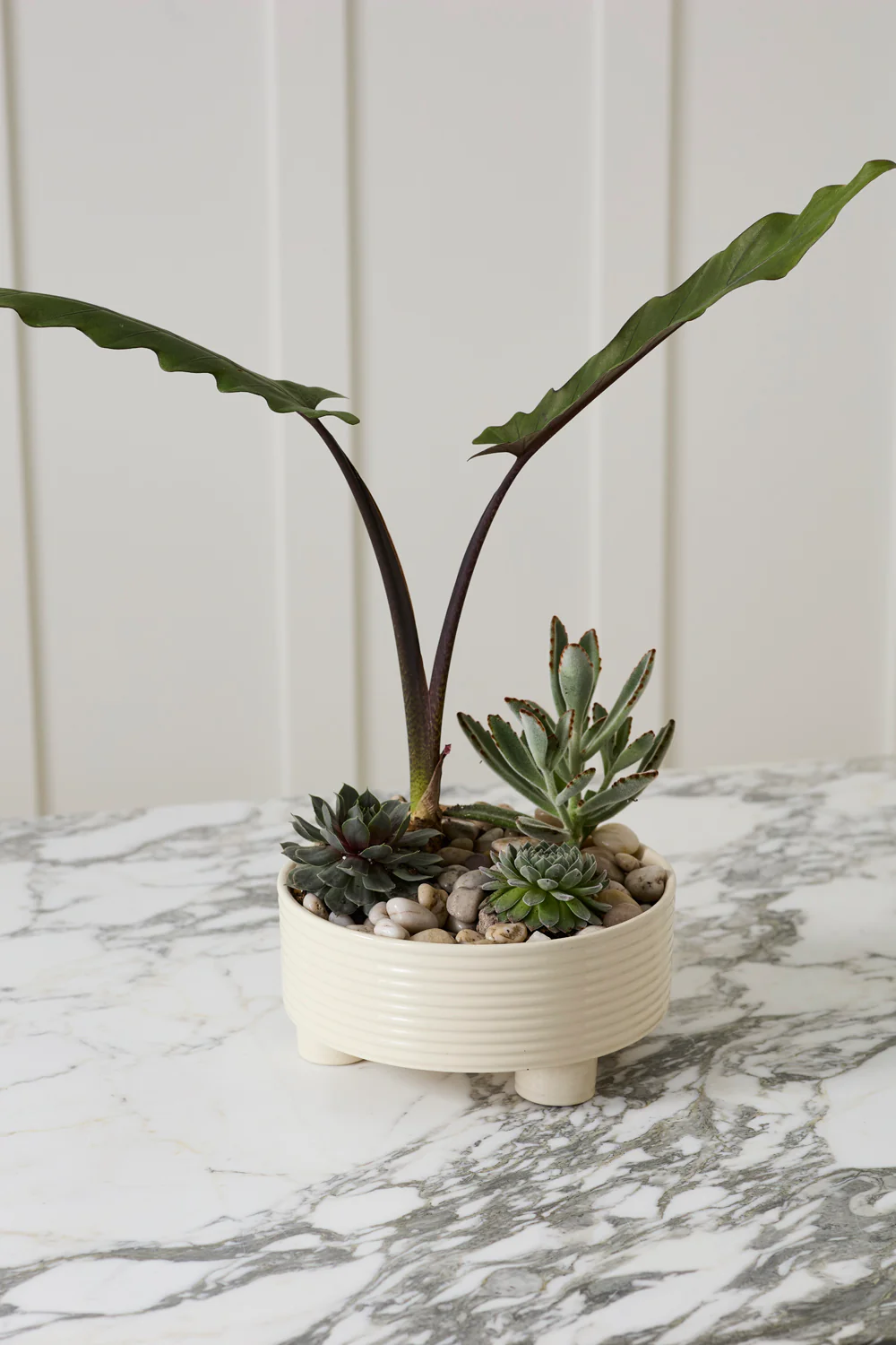 Hailey Footed Bowl By Accent Decor - Image 9