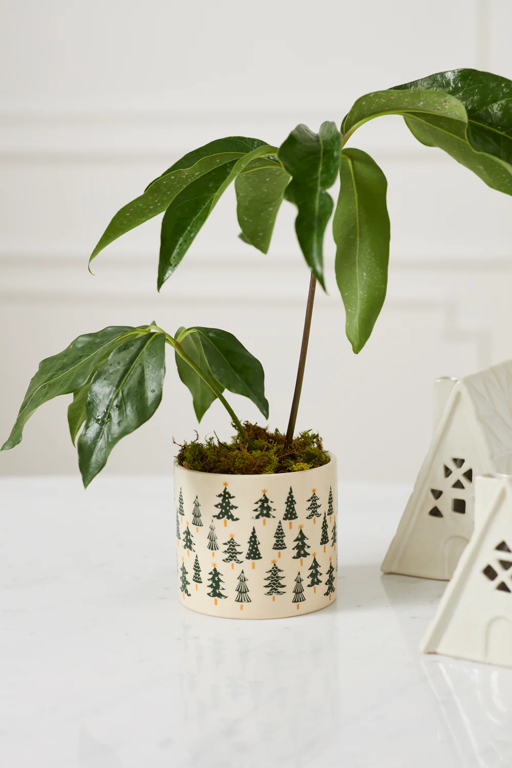 Happy Little Trees Pot Set of 4 By Accent Decor - Image 4
