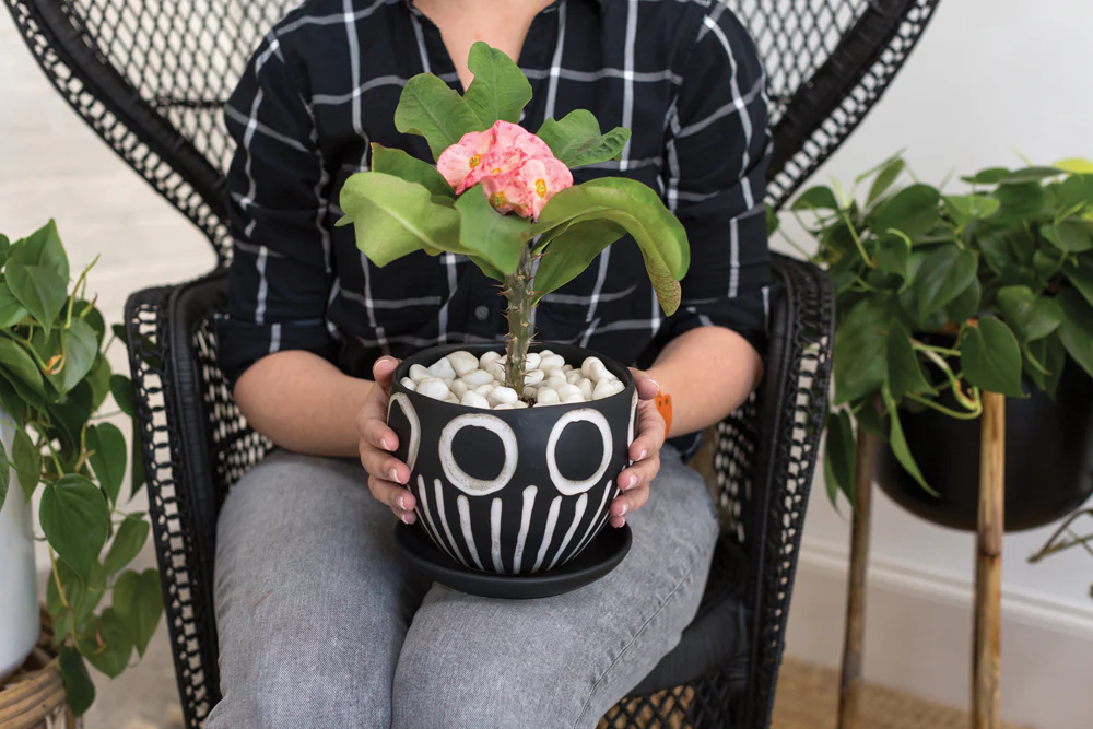 Hootie Hoo Pot Set of 2 By Accent Decor - Image 5