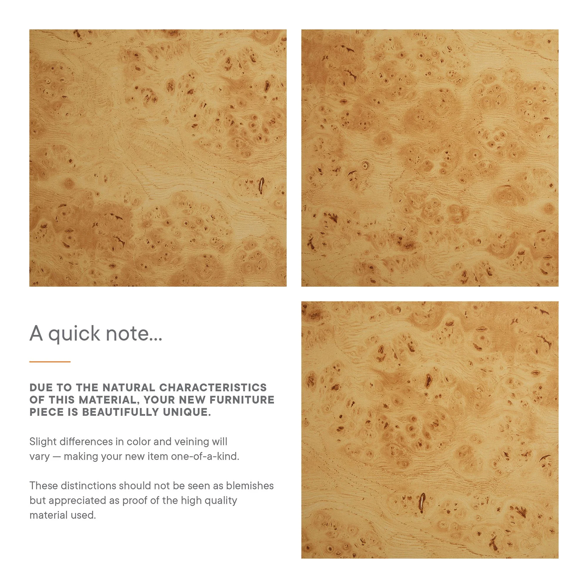 Hudson 60" Burl Wood Sideboard by Modway - Image 10