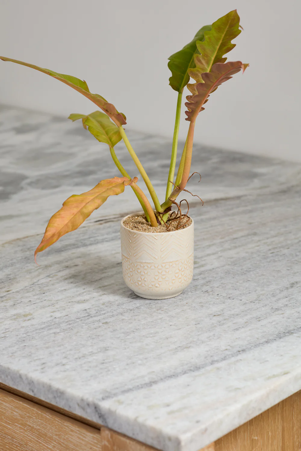Indo Pot Set of 4 By Accent Decor - Image 6