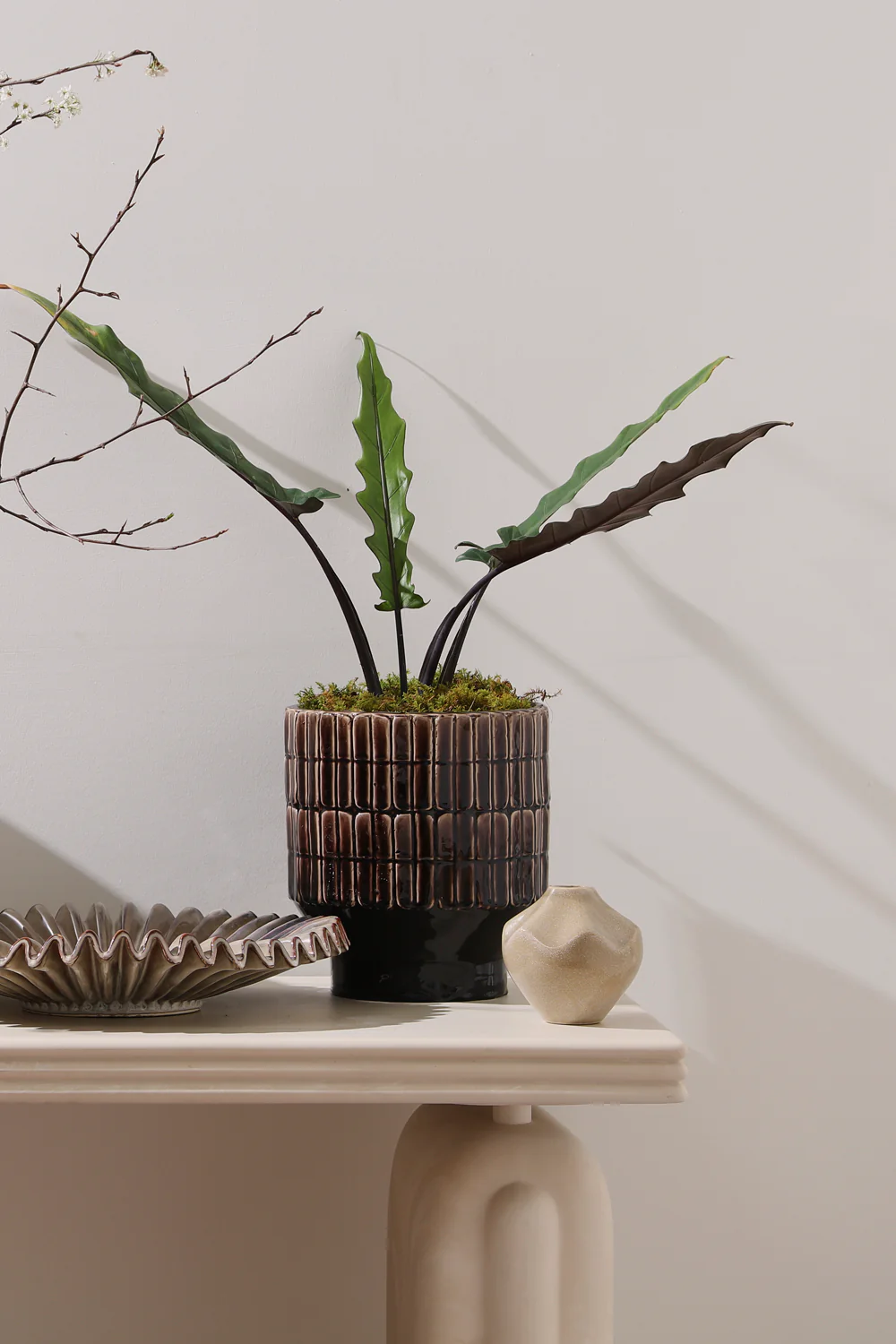 Kasra Pot By Accent Decor - Image 10